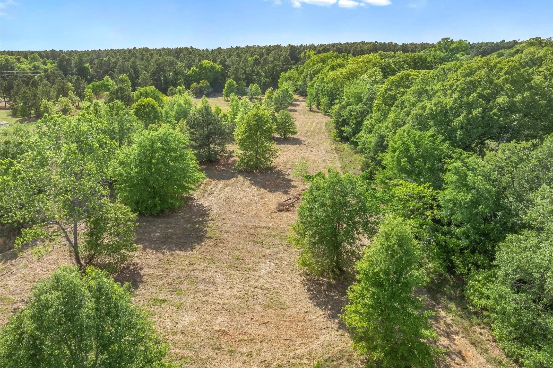 Unimproved Land For Sale in Wood County , 00 Hwy 69, Alba, Texas 75410, 0, 0, Garage spaces, 0 Sqft, built in 0, Price $165,000, mls#21240113, Real Estate Agent in Alba, Homes For Sale in Wood county, Homes For Sale in Alba, Realtor in Alba Texas, Real Estate Brokerage Independent Realty Texas, Luminita Cordes Realtor