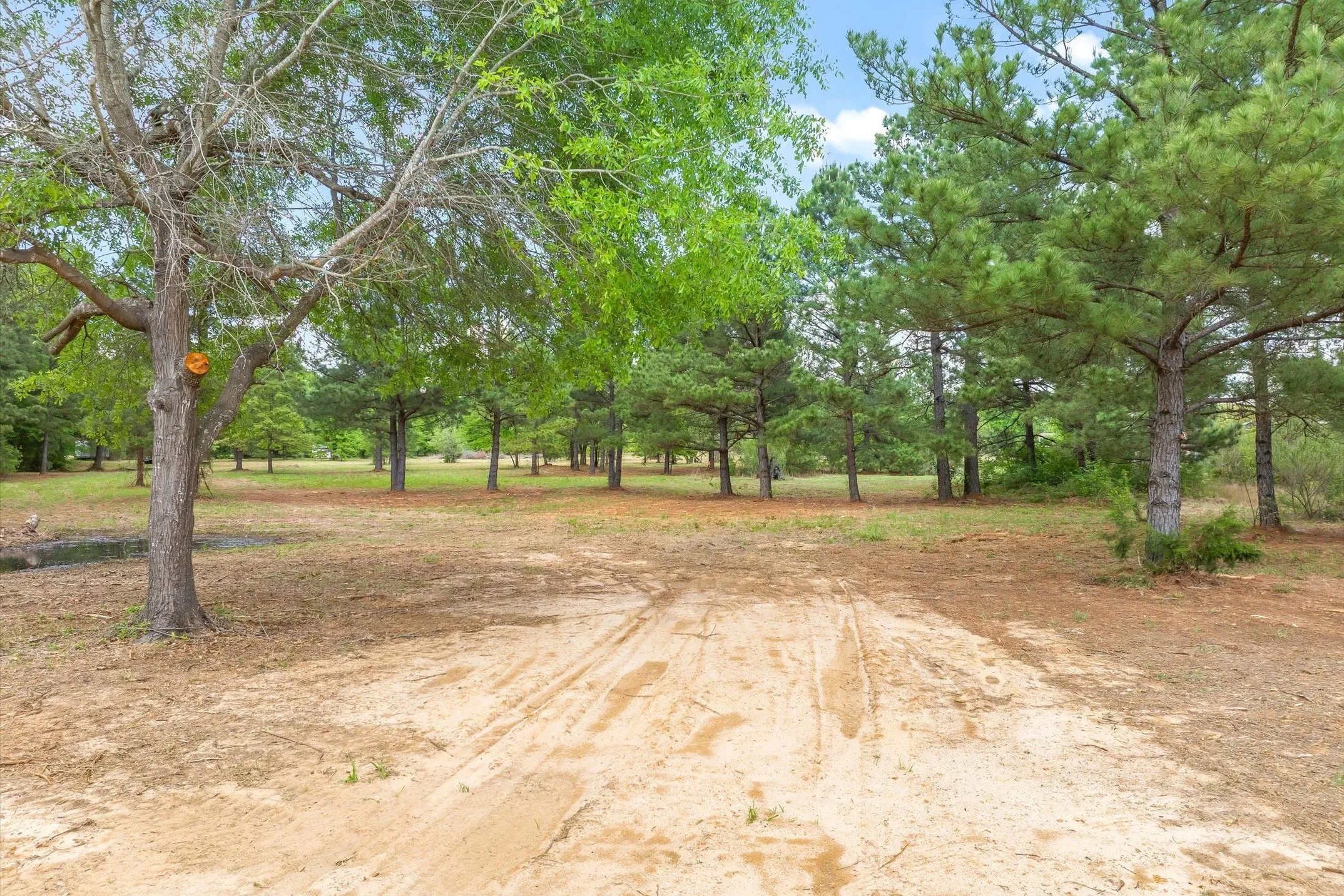Unimproved Land For Sale in Wood County , 00 Hwy 69, Alba, Texas 75410, 0, 0, Garage spaces, 0 Sqft, built in 0, Price $165,000, mls#21240113, Real Estate Agent in Alba, Homes For Sale in Wood county, Homes For Sale in Alba, Realtor in Alba Texas, Real Estate Brokerage Independent Realty Texas, Luminita Cordes Realtor