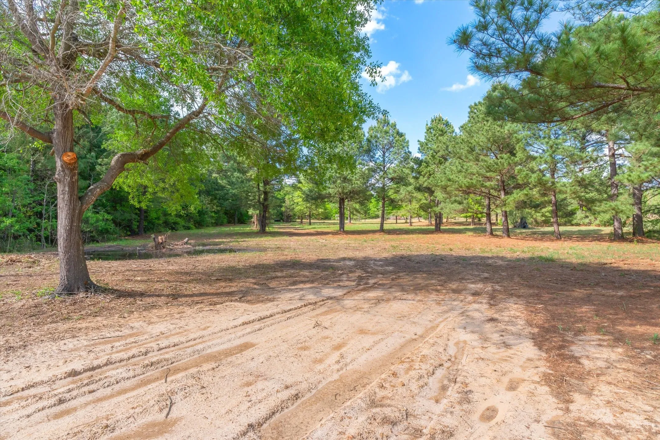 Unimproved Land For Sale in Wood County , 00 Hwy 69, Alba, Texas 75410, 0, 0, Garage spaces, 0 Sqft, built in 0, Price $165,000, mls#21240113, Real Estate Agent in Alba, Homes For Sale in Wood county, Homes For Sale in Alba, Realtor in Alba Texas, Real Estate Brokerage Independent Realty Texas, Luminita Cordes Realtor