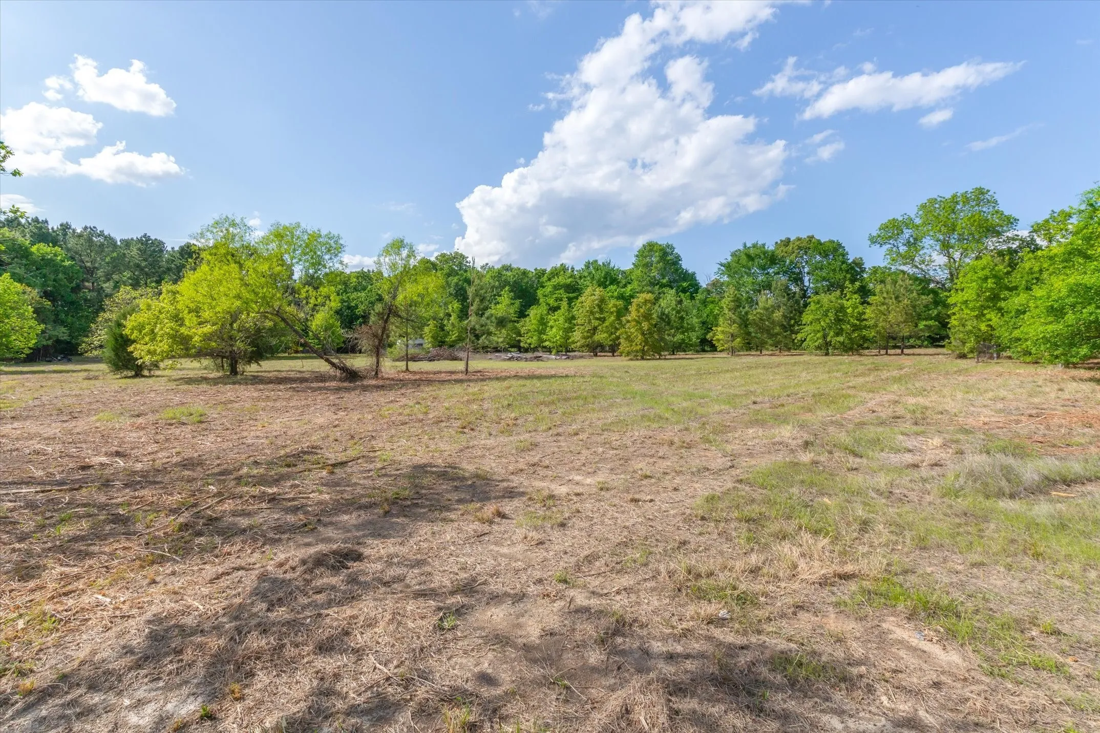 Unimproved Land For Sale in Wood County , 00 Hwy 69, Alba, Texas 75410, 0, 0, Garage spaces, 0 Sqft, built in 0, Price $165,000, mls#21240113, Real Estate Agent in Alba, Homes For Sale in Wood county, Homes For Sale in Alba, Realtor in Alba Texas, Real Estate Brokerage Independent Realty Texas, Luminita Cordes Realtor