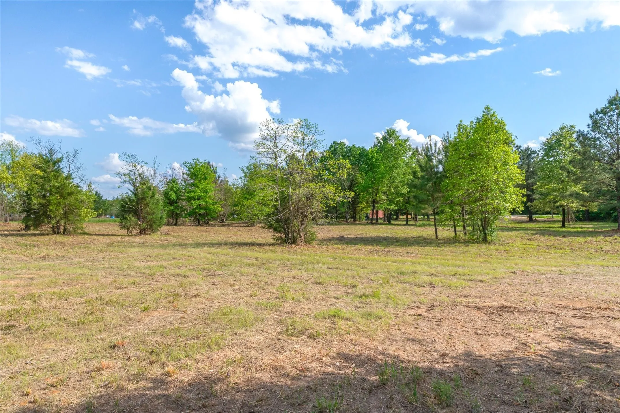 Unimproved Land For Sale in Wood County , 00 Hwy 69, Alba, Texas 75410, 0, 0, Garage spaces, 0 Sqft, built in 0, Price $165,000, mls#21240113, Real Estate Agent in Alba, Homes For Sale in Wood county, Homes For Sale in Alba, Realtor in Alba Texas, Real Estate Brokerage Independent Realty Texas, Luminita Cordes Realtor