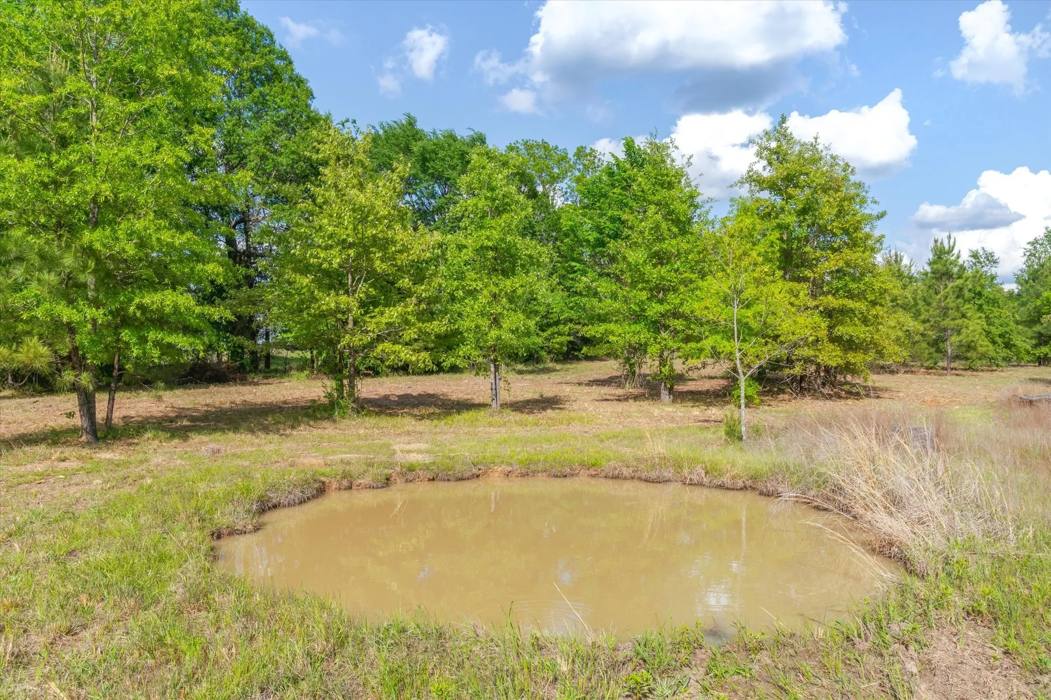 Unimproved Land For Sale in Wood County , 00 Hwy 69, Alba, Texas 75410, 0, 0, Garage spaces, 0 Sqft, built in 0, Price $165,000, mls#21240113, Real Estate Agent in Alba, Homes For Sale in Wood county, Homes For Sale in Alba, Realtor in Alba Texas, Real Estate Brokerage Independent Realty Texas, Luminita Cordes Realtor