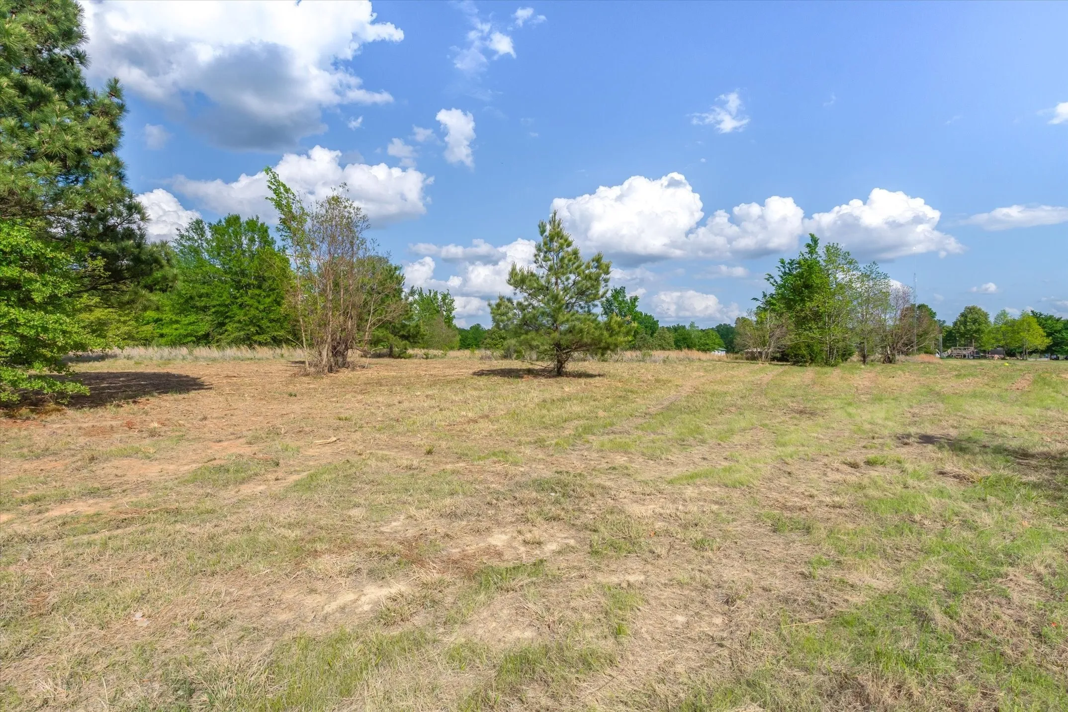 Unimproved Land For Sale in Wood County , 00 Hwy 69, Alba, Texas 75410, 0, 0, Garage spaces, 0 Sqft, built in 0, Price $165,000, mls#21240113, Real Estate Agent in Alba, Homes For Sale in Wood county, Homes For Sale in Alba, Realtor in Alba Texas, Real Estate Brokerage Independent Realty Texas, Luminita Cordes Realtor