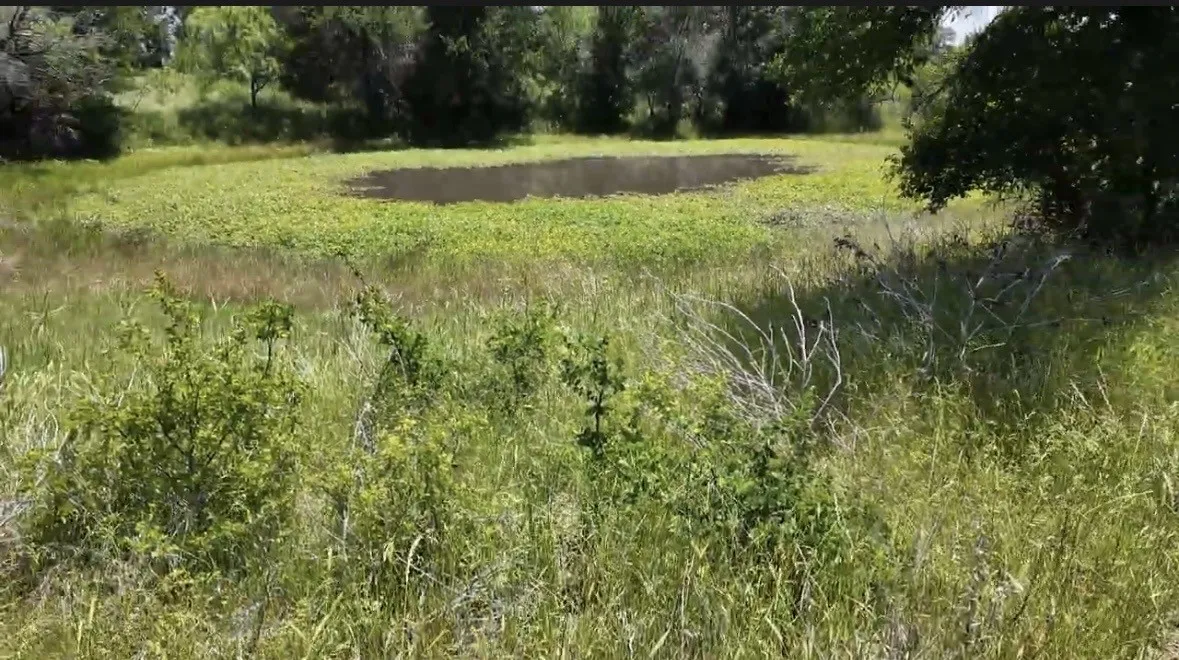 Single Family Residence For Sale in Palo Pinto County , 932 Fm 3137, Palo Pinto, Texas 76484, 3 Bedroom, 2 Bathroom, Garage spaces, 2,000 Sqft, built in 2023, mls#21251434, Real Estate Agent in Palo Pinto, Homes For Sale in Palo Pinto county, Homes For Sale in Palo Pinto, Realtor in Palo Pinto Texas, Real Estate Brokerage Independent Realty Texas, Luminita Cordes Realtor