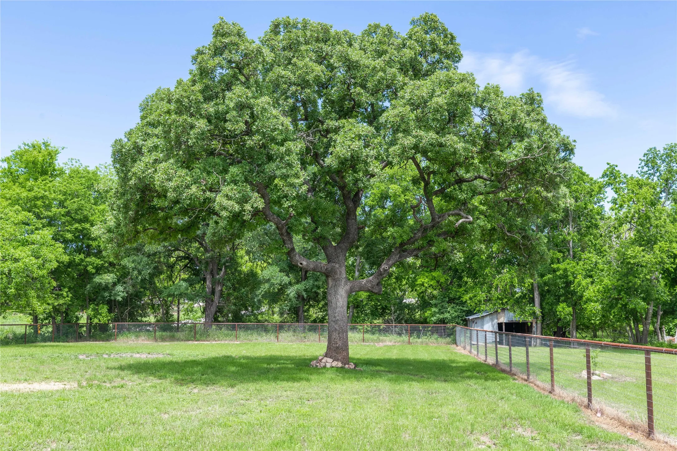 Manufactured Home For Sale in Comanche County , 601 E Reynosa, De Leon, Texas 76444, 1 Bedroom, 1 Bathroom, Garage spaces, 640 Sqft, built in 2025, New Construction - Complete, mls#21252942, Real Estate Agent in De Leon, Homes For Sale in Comanche county, Homes For Sale in De Leon, Realtor in De Leon Texas, Real Estate Brokerage Independent Realty Texas, Luminita Cordes Realtor