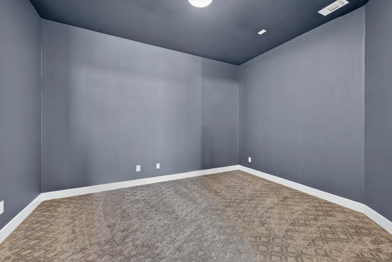 Entertainment Room