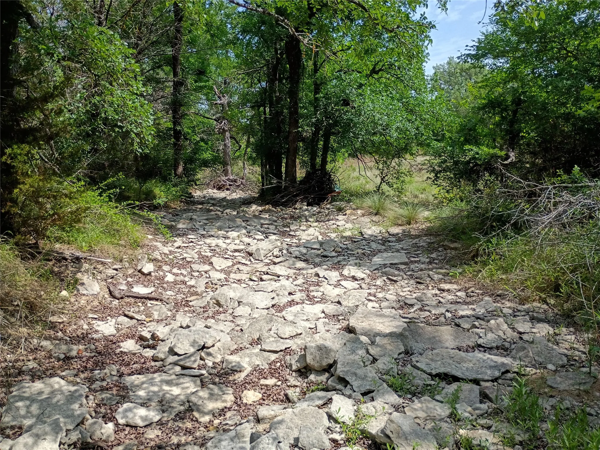 Rocky terrain with natural ground cover and mature trees