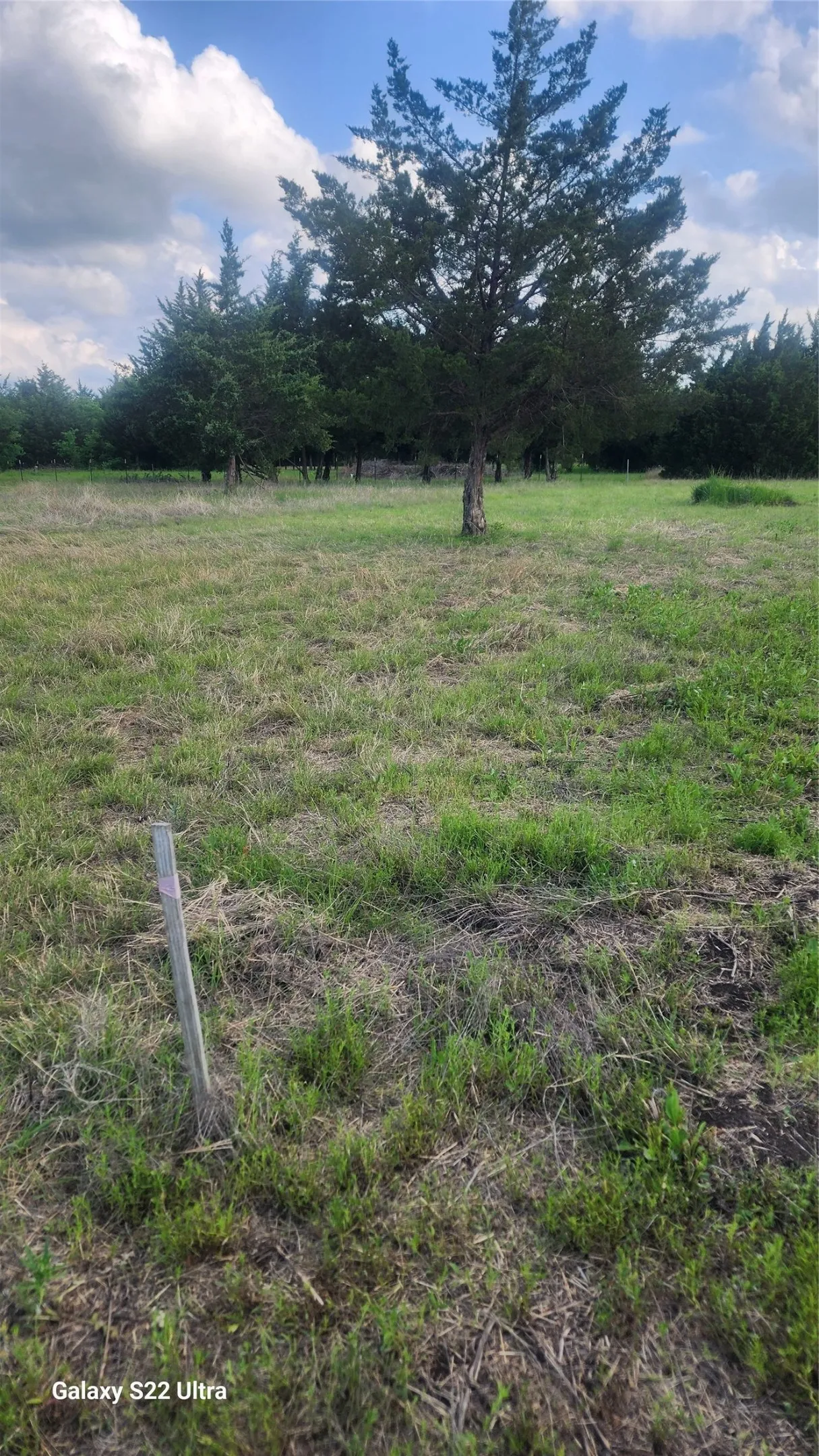 Unimproved Land For Sale in Ellis County , 147 W Woodell Drive, Glenn Heights, Texas 75154, 0, 0, Garage spaces, 0 Sqft, built in 0, Price $49,000, mls#21253083, Real Estate Agent in Glenn Heights, Homes For Sale in Ellis county, Homes For Sale in Glenn Heights, Realtor in Glenn Heights Texas, Real Estate Brokerage Independent Realty Texas, Luminita Cordes Realtor