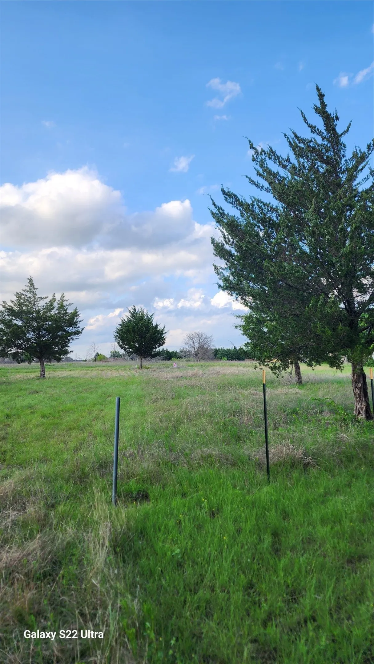 Unimproved Land For Sale in Ellis County , 147 W Woodell Drive, Glenn Heights, Texas 75154, 0, 0, Garage spaces, 0 Sqft, built in 0, Price $49,000, mls#21253083, Real Estate Agent in Glenn Heights, Homes For Sale in Ellis county, Homes For Sale in Glenn Heights, Realtor in Glenn Heights Texas, Real Estate Brokerage Independent Realty Texas, Luminita Cordes Realtor
