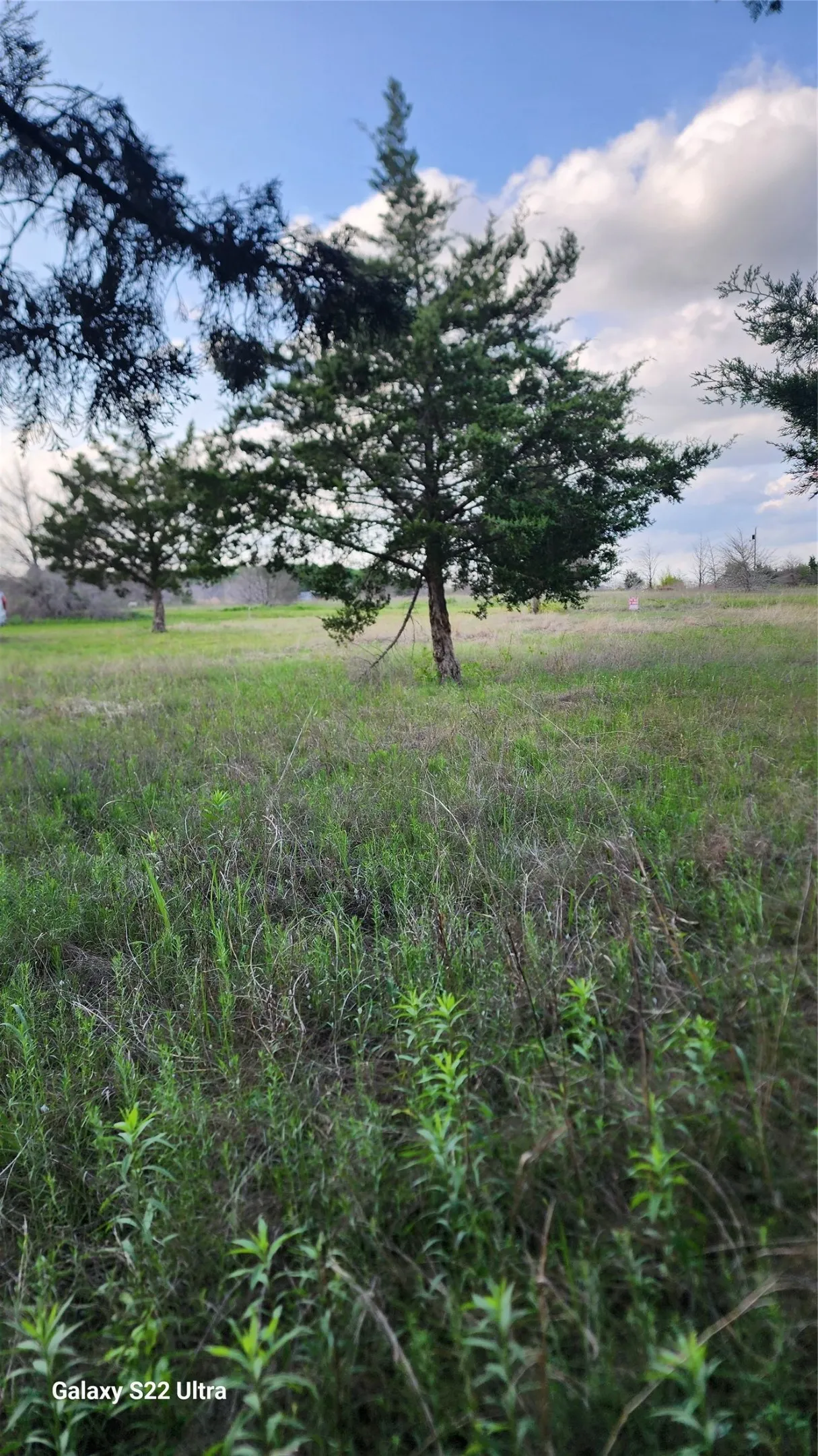 Unimproved Land For Sale in Ellis County , 147 W Woodell Drive, Glenn Heights, Texas 75154, 0, 0, Garage spaces, 0 Sqft, built in 0, Price $49,000, mls#21253083, Real Estate Agent in Glenn Heights, Homes For Sale in Ellis county, Homes For Sale in Glenn Heights, Realtor in Glenn Heights Texas, Real Estate Brokerage Independent Realty Texas, Luminita Cordes Realtor
