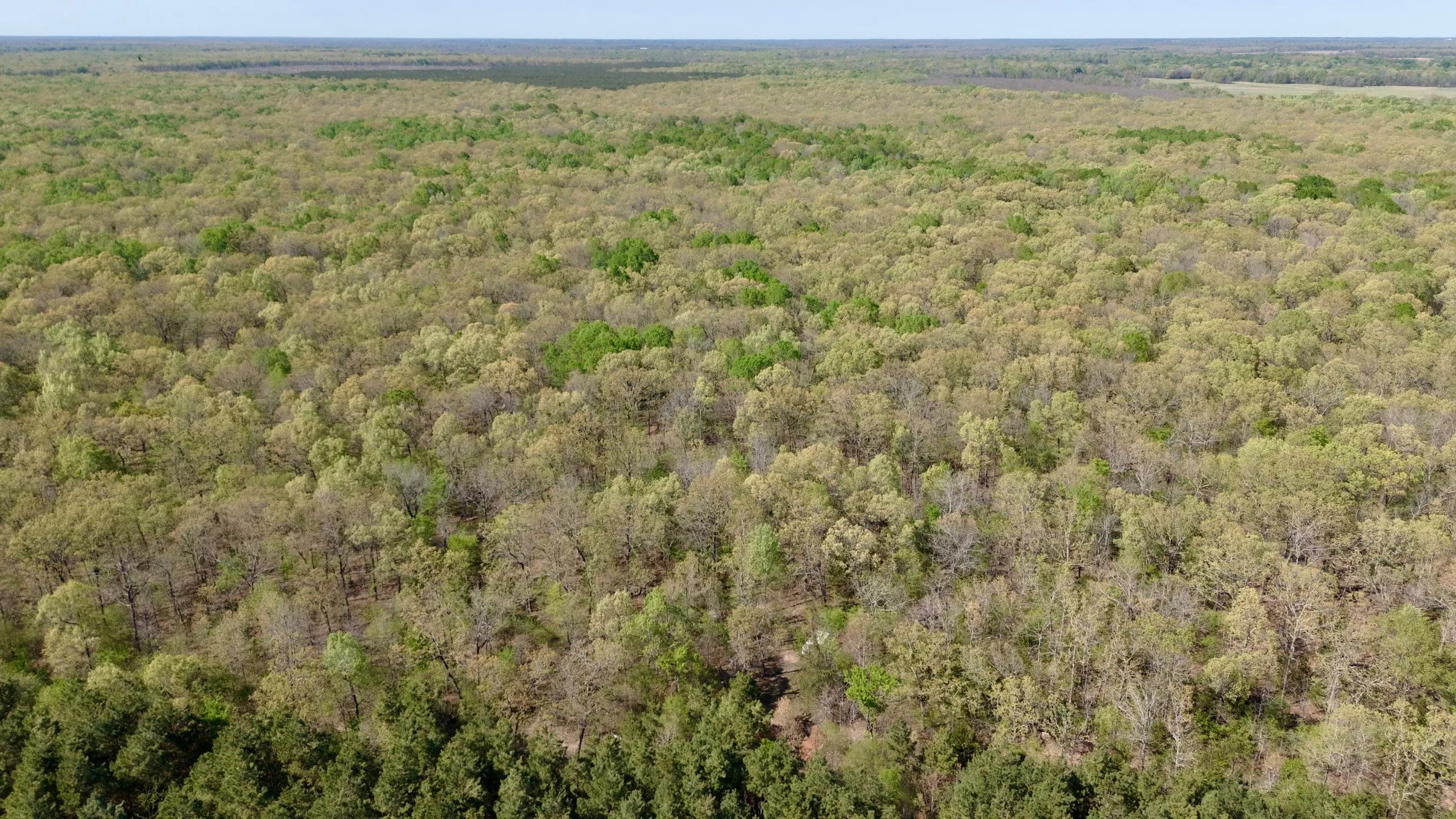 Unimproved Land For Sale in Red River (TX) County , TBD FM 909, Bogata, Texas 75417, 0, 0, Garage spaces, 0 Sqft, built in 0, mls#21253656, Real Estate Agent in Bogata, Homes For Sale in Red River (TX) county, Homes For Sale in Bogata, Realtor in Bogata Texas, Real Estate Brokerage Independent Realty Texas, Luminita Cordes Realtor