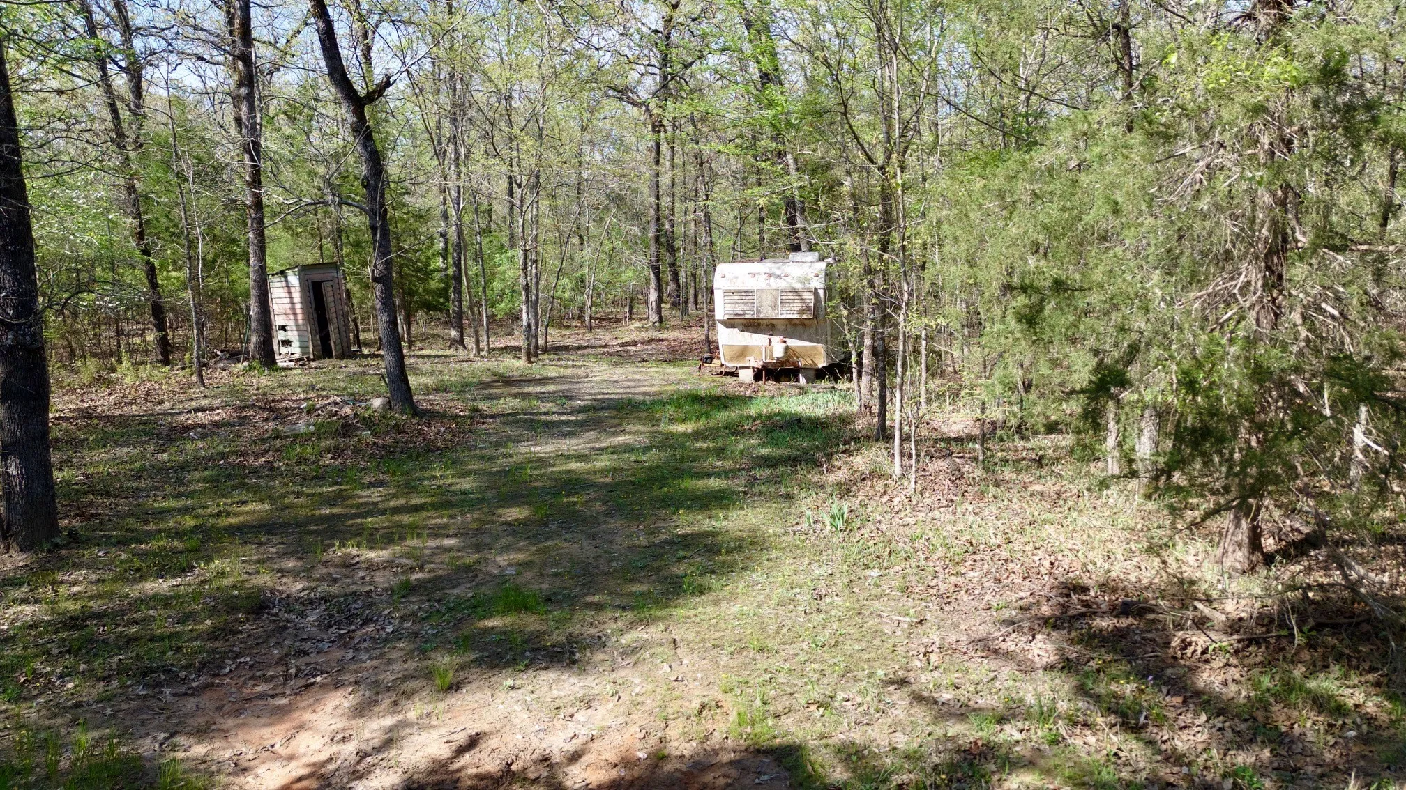 Unimproved Land For Sale in Red River (TX) County , TBD FM 909, Bogata, Texas 75417, 0, 0, Garage spaces, 0 Sqft, built in 0, mls#21253656, Real Estate Agent in Bogata, Homes For Sale in Red River (TX) county, Homes For Sale in Bogata, Realtor in Bogata Texas, Real Estate Brokerage Independent Realty Texas, Luminita Cordes Realtor