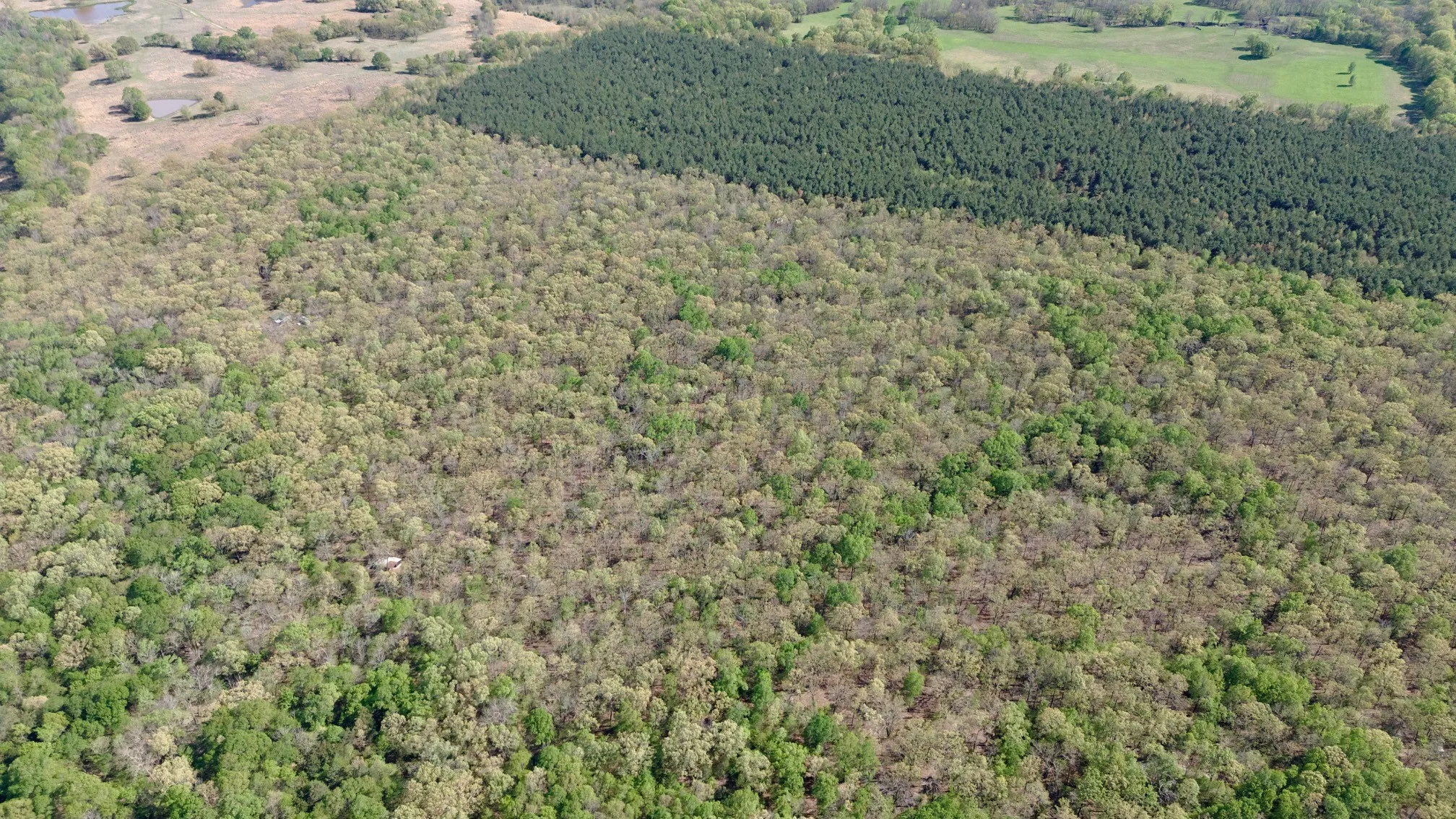 Unimproved Land For Sale in Red River (TX) County , TBD FM 909, Bogata, Texas 75417, 0, 0, Garage spaces, 0 Sqft, built in 0, mls#21253656, Real Estate Agent in Bogata, Homes For Sale in Red River (TX) county, Homes For Sale in Bogata, Realtor in Bogata Texas, Real Estate Brokerage Independent Realty Texas, Luminita Cordes Realtor