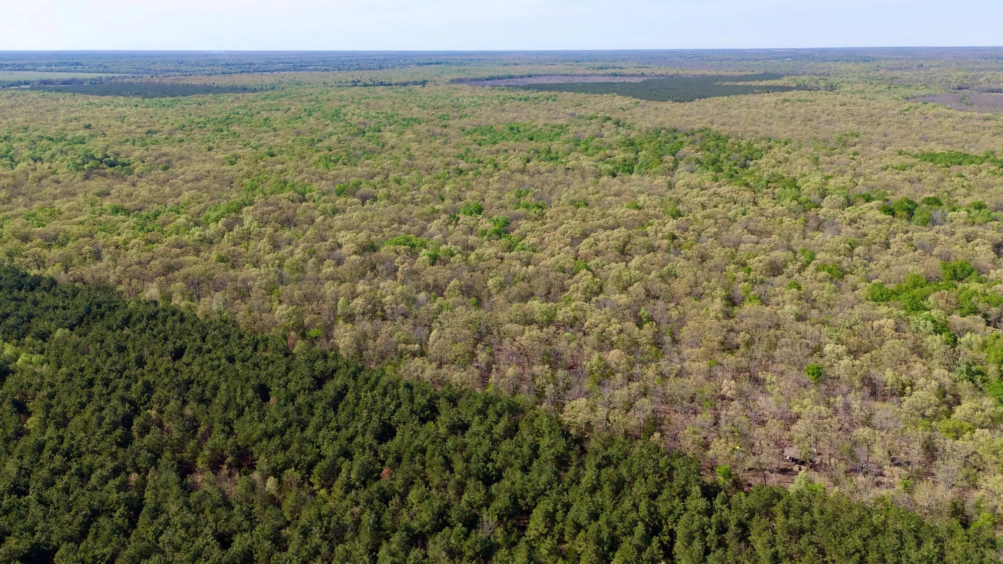 Unimproved Land For Sale in Red River (TX) County , TBD FM 909, Bogata, Texas 75417, 0, 0, Garage spaces, 0 Sqft, built in 0, mls#21253656, Real Estate Agent in Bogata, Homes For Sale in Red River (TX) county, Homes For Sale in Bogata, Realtor in Bogata Texas, Real Estate Brokerage Independent Realty Texas, Luminita Cordes Realtor