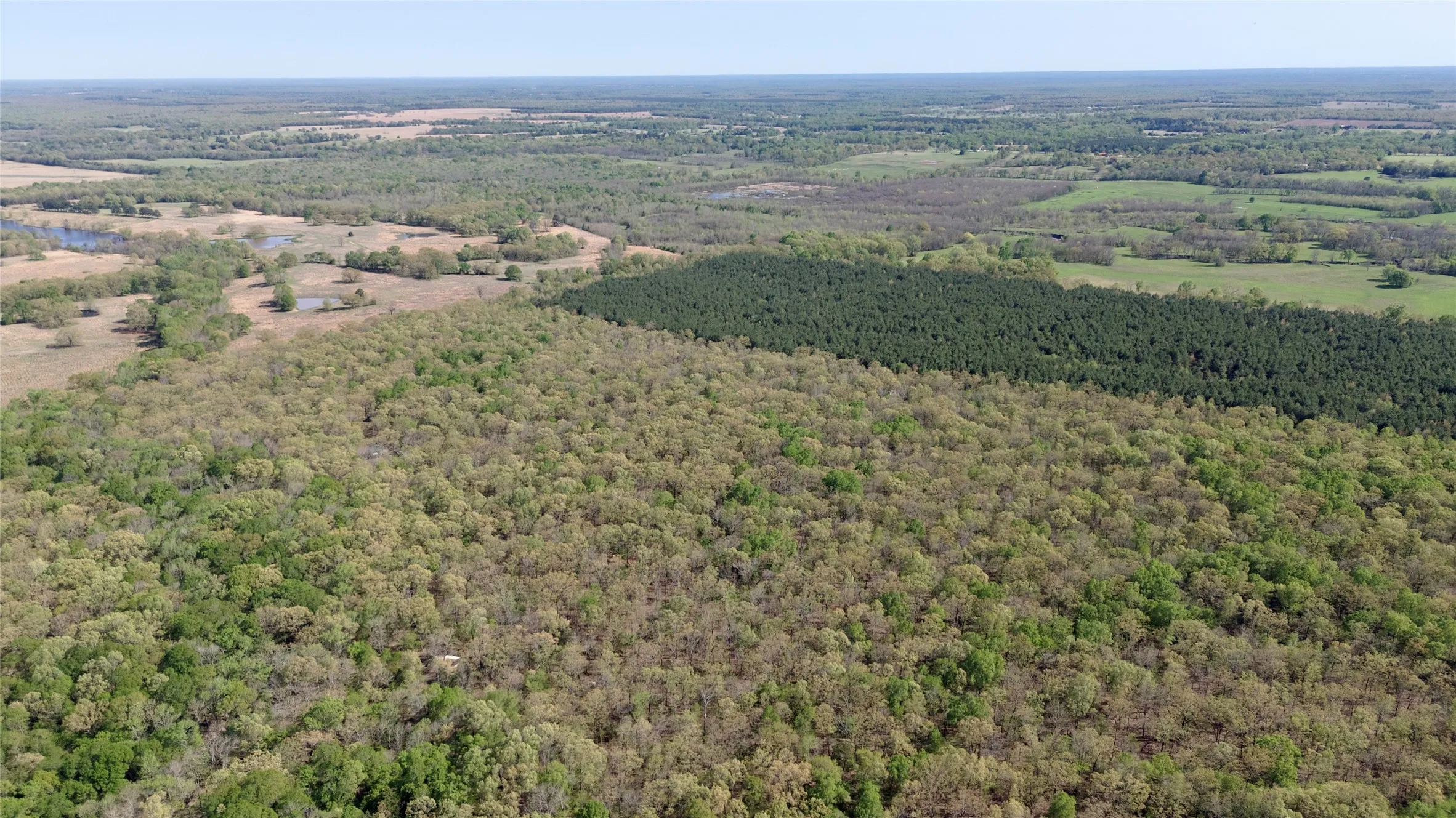 Unimproved Land For Sale in Red River (TX) County , TBD FM 909, Bogata, Texas 75417, 0, 0, Garage spaces, 0 Sqft, built in 0, mls#21253656, Real Estate Agent in Bogata, Homes For Sale in Red River (TX) county, Homes For Sale in Bogata, Realtor in Bogata Texas, Real Estate Brokerage Independent Realty Texas, Luminita Cordes Realtor