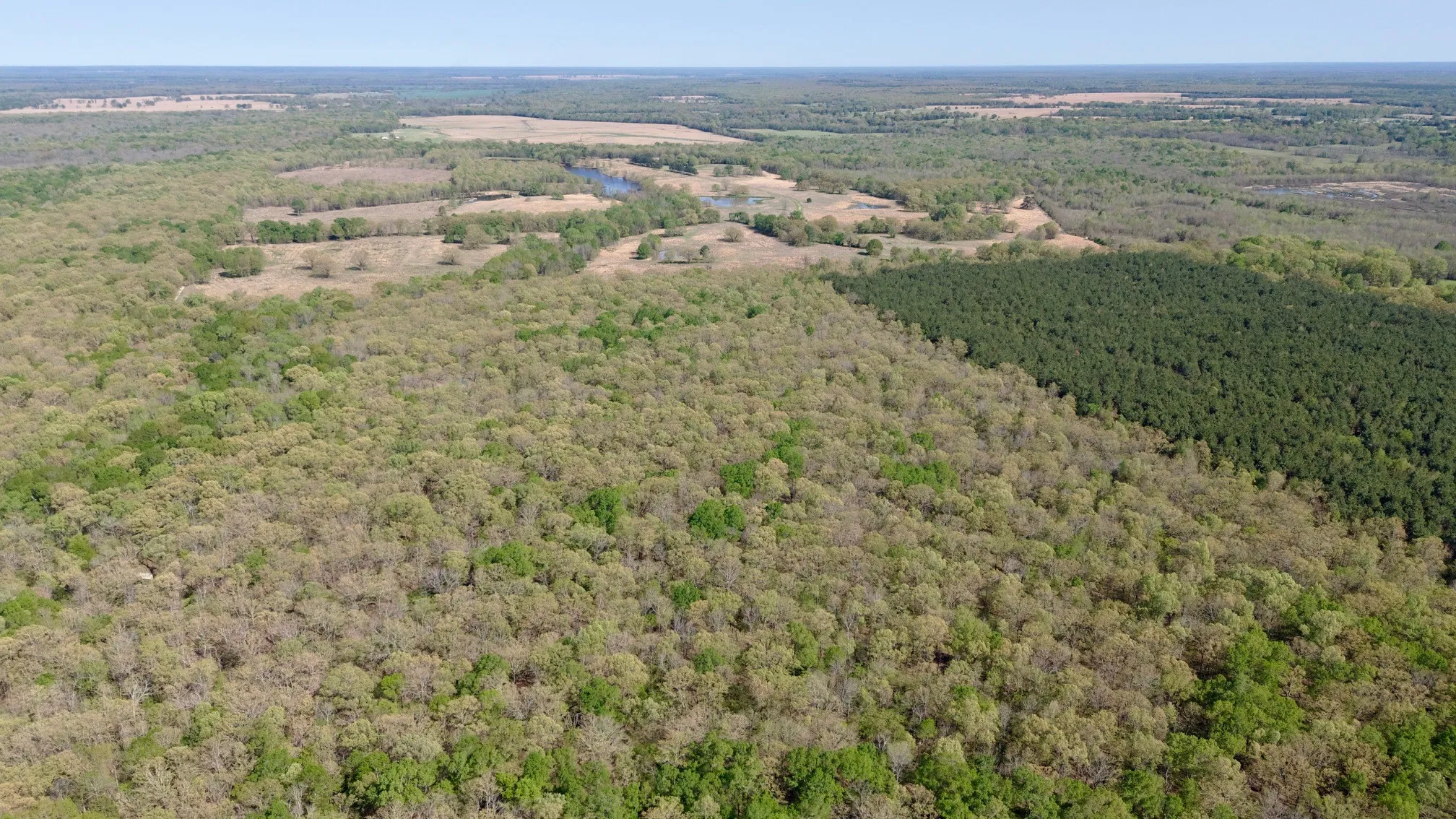 Unimproved Land For Sale in Red River (TX) County , TBD FM 909, Bogata, Texas 75417, 0, 0, Garage spaces, 0 Sqft, built in 0, mls#21253656, Real Estate Agent in Bogata, Homes For Sale in Red River (TX) county, Homes For Sale in Bogata, Realtor in Bogata Texas, Real Estate Brokerage Independent Realty Texas, Luminita Cordes Realtor