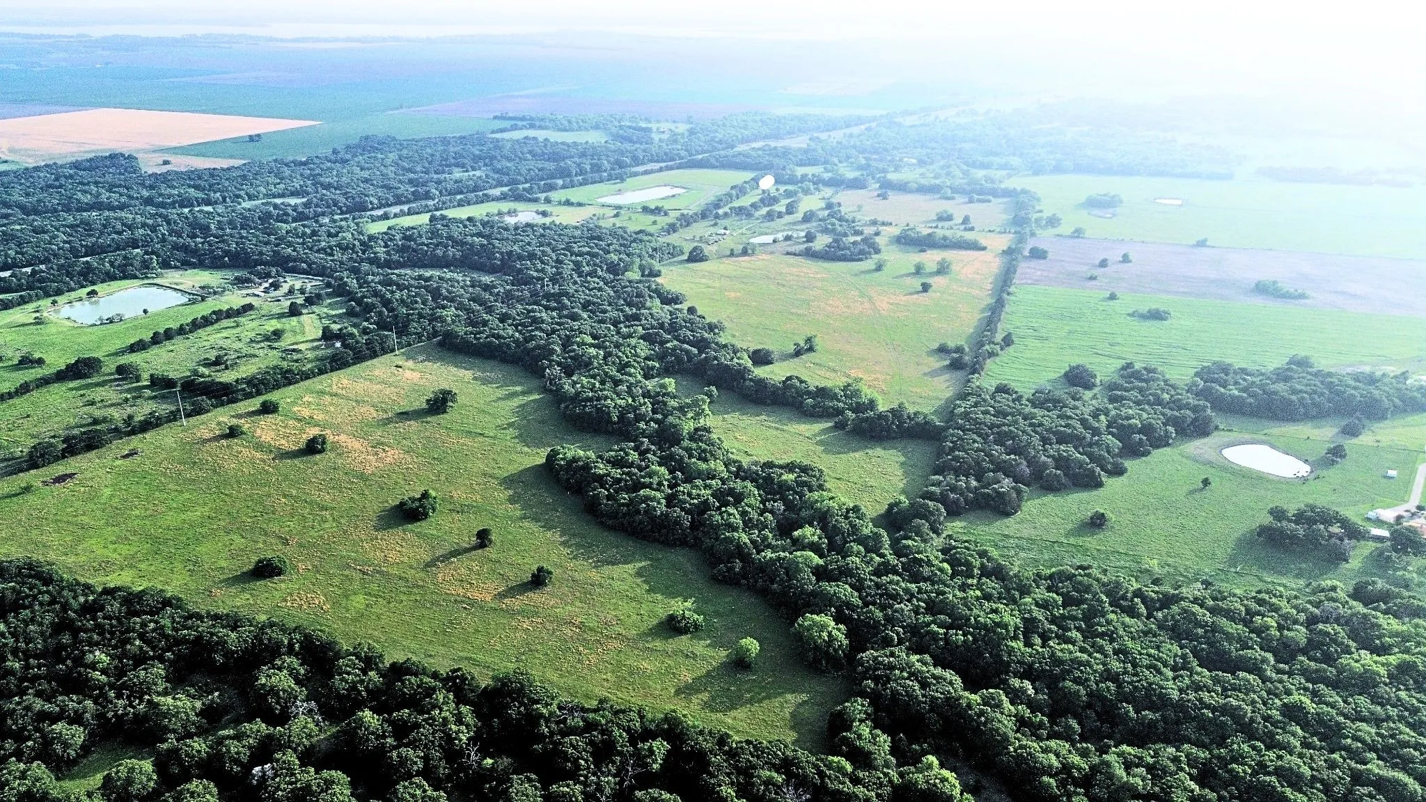 Ranch For Sale in Navarro County , 150 +- Acres Highway 31, Kerens, Texas 75144, 0, 0, Garage spaces, 0 Sqft, built in 0, mls#21253702, Real Estate Agent in Kerens, Homes For Sale in Navarro county, Homes For Sale in Kerens, Realtor in Kerens Texas, Real Estate Brokerage Independent Realty Texas, Luminita Cordes Realtor