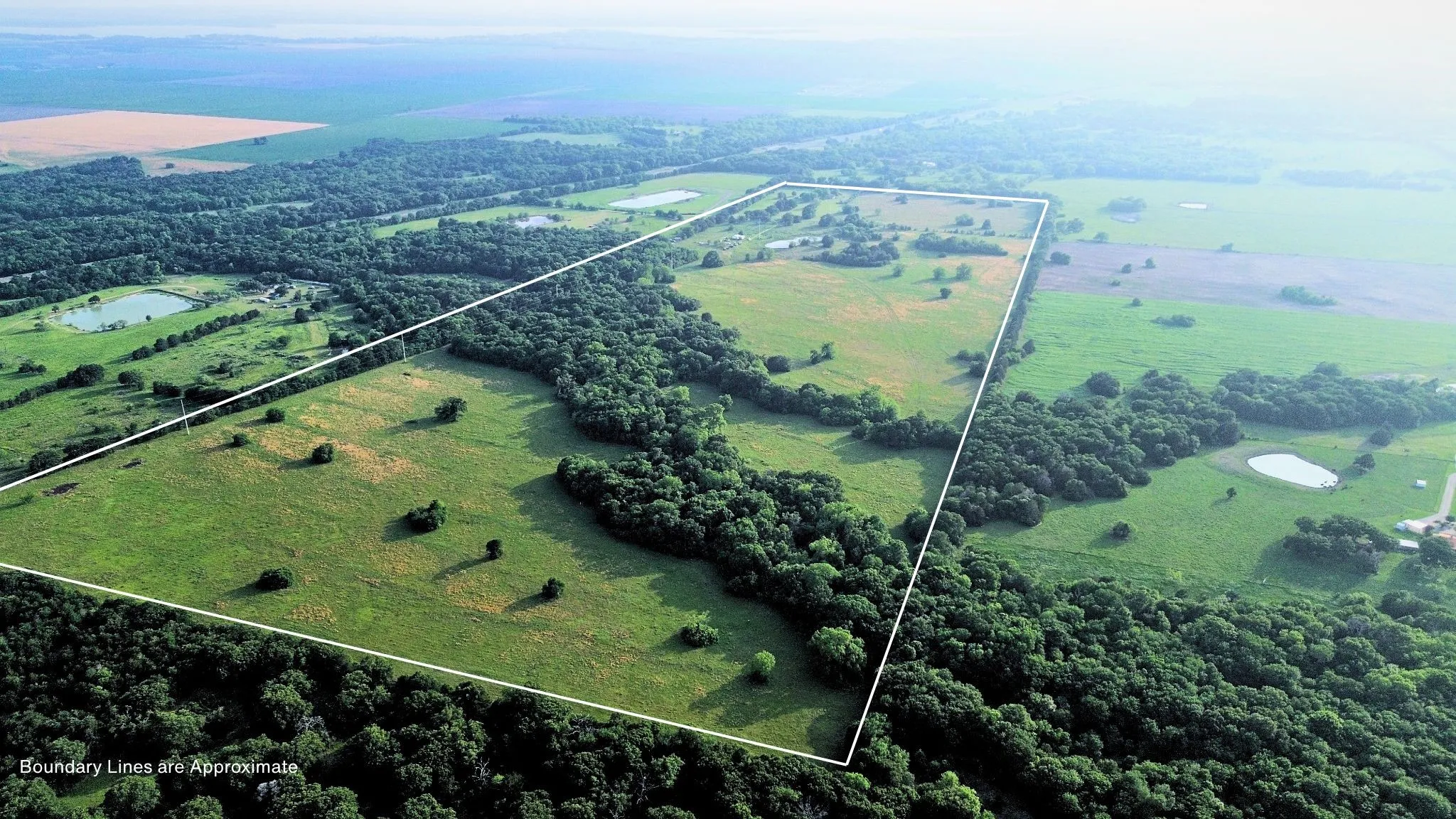 Ranch For Sale in Navarro County , 150 +- Acres Highway 31, Kerens, Texas 75144, 0, 0, Garage spaces, 0 Sqft, built in 0, mls#21253702, Real Estate Agent in Kerens, Homes For Sale in Navarro county, Homes For Sale in Kerens, Realtor in Kerens Texas, Real Estate Brokerage Independent Realty Texas, Luminita Cordes Realtor