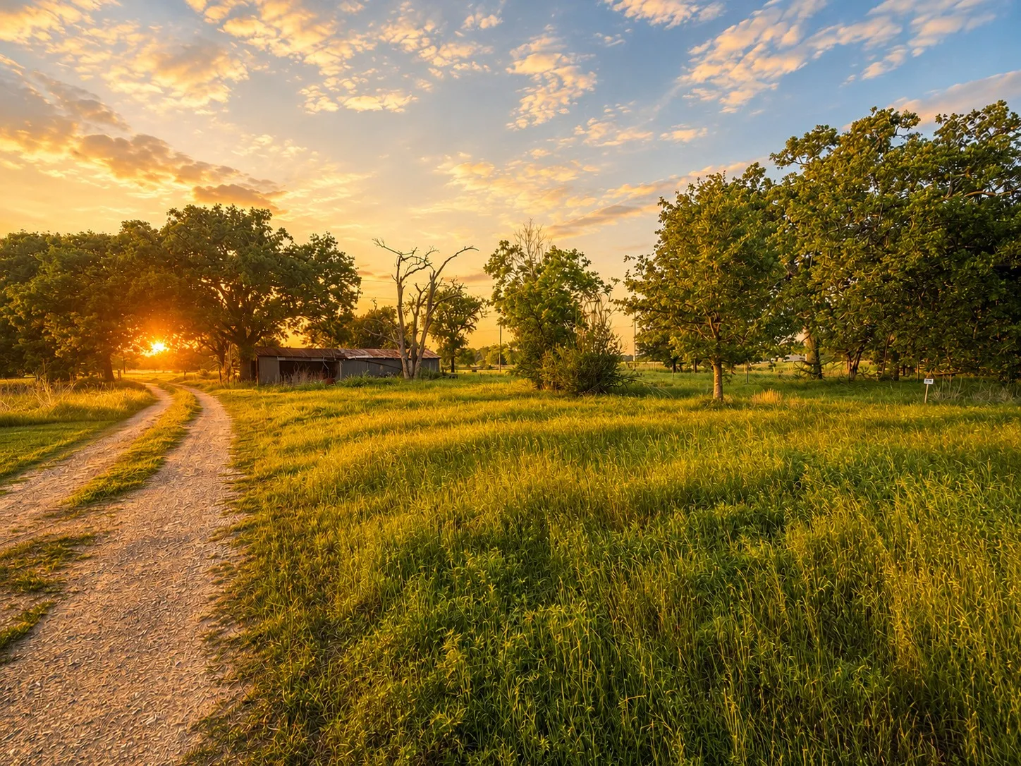 Ranch For Sale in Navarro County , 150 +- Acres Highway 31, Kerens, Texas 75144, 0, 0, Garage spaces, 0 Sqft, built in 0, mls#21253702, Real Estate Agent in Kerens, Homes For Sale in Navarro county, Homes For Sale in Kerens, Realtor in Kerens Texas, Real Estate Brokerage Independent Realty Texas, Luminita Cordes Realtor