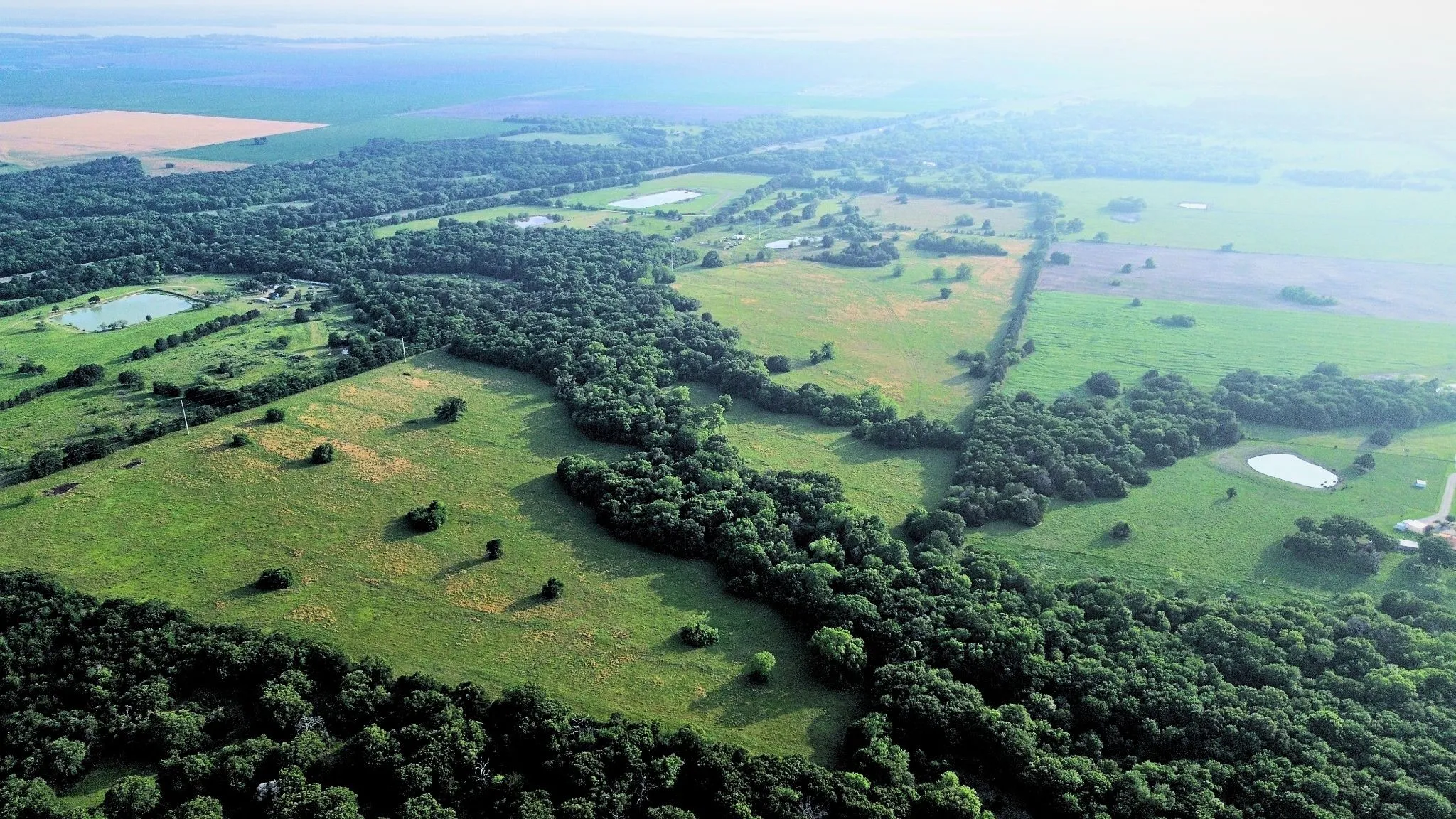 Ranch For Sale in Navarro County , 150 +- Acres Highway 31, Kerens, Texas 75144, 0, 0, Garage spaces, 0 Sqft, built in 0, mls#21253702, Real Estate Agent in Kerens, Homes For Sale in Navarro county, Homes For Sale in Kerens, Realtor in Kerens Texas, Real Estate Brokerage Independent Realty Texas, Luminita Cordes Realtor