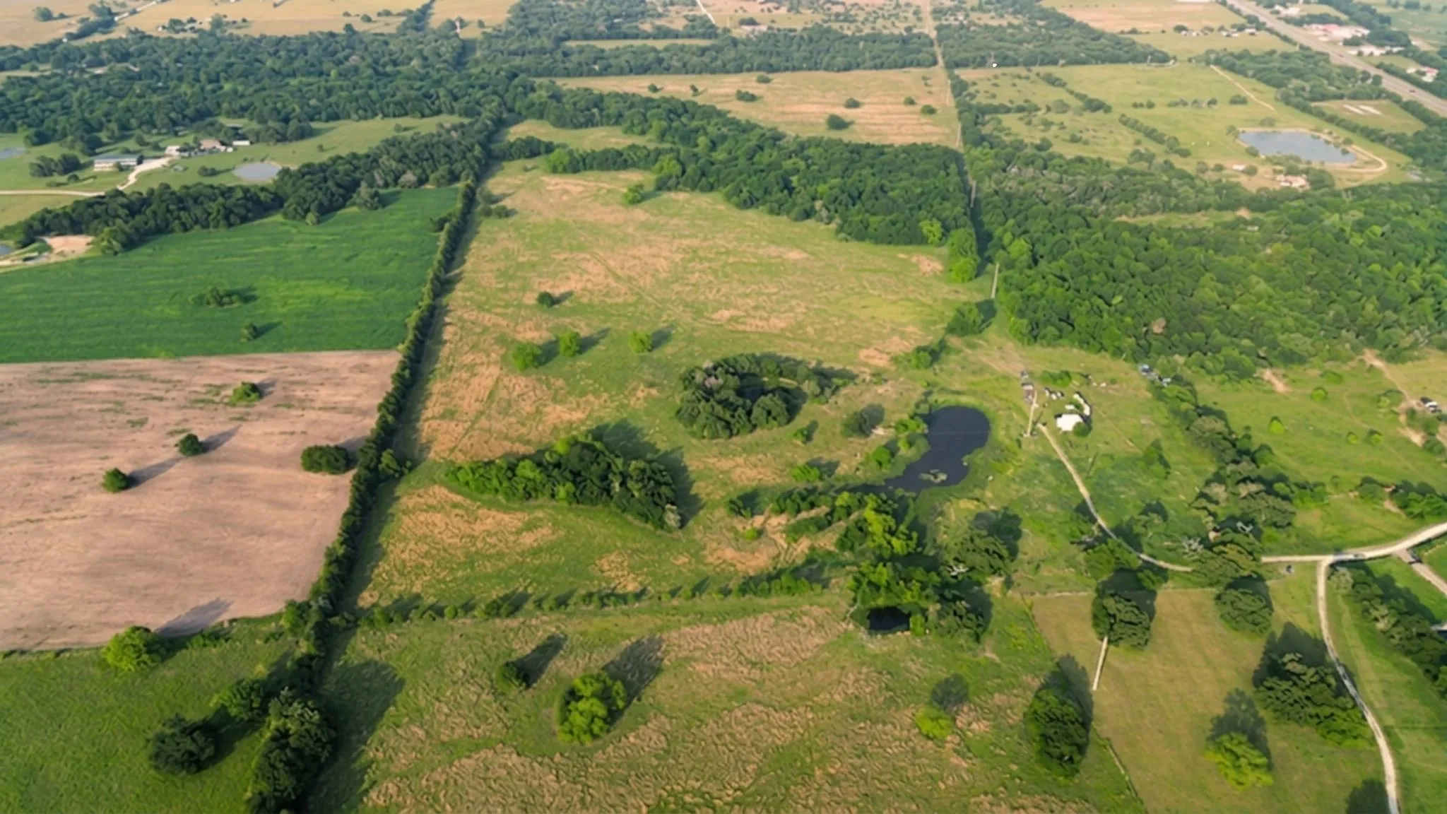 Ranch For Sale in Navarro County , 150 +- Acres Highway 31, Kerens, Texas 75144, 0, 0, Garage spaces, 0 Sqft, built in 0, mls#21253702, Real Estate Agent in Kerens, Homes For Sale in Navarro county, Homes For Sale in Kerens, Realtor in Kerens Texas, Real Estate Brokerage Independent Realty Texas, Luminita Cordes Realtor