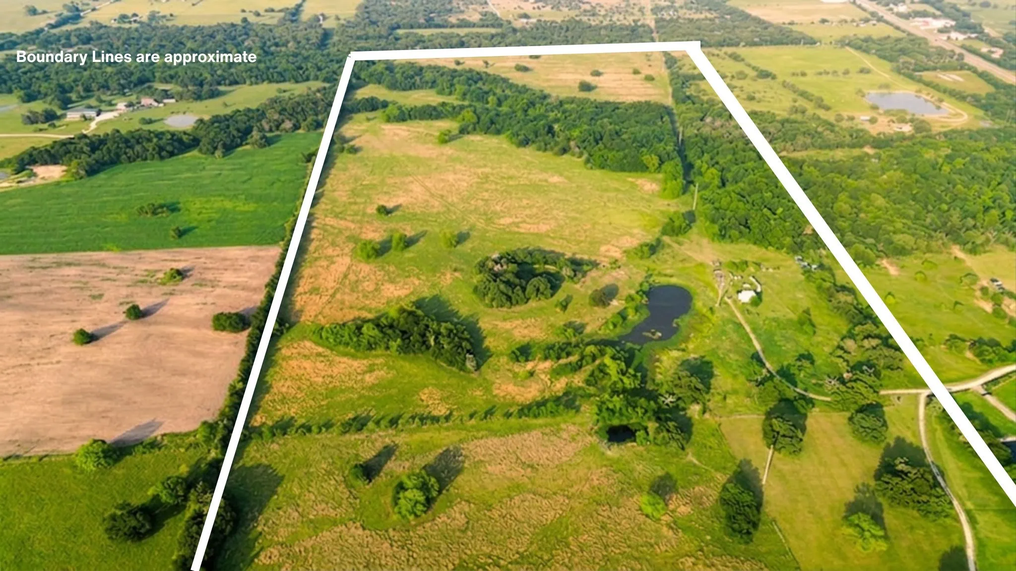 Ranch For Sale in Navarro County , 150 +- Acres Highway 31, Kerens, Texas 75144, 0, 0, Garage spaces, 0 Sqft, built in 0, mls#21253702, Real Estate Agent in Kerens, Homes For Sale in Navarro county, Homes For Sale in Kerens, Realtor in Kerens Texas, Real Estate Brokerage Independent Realty Texas, Luminita Cordes Realtor