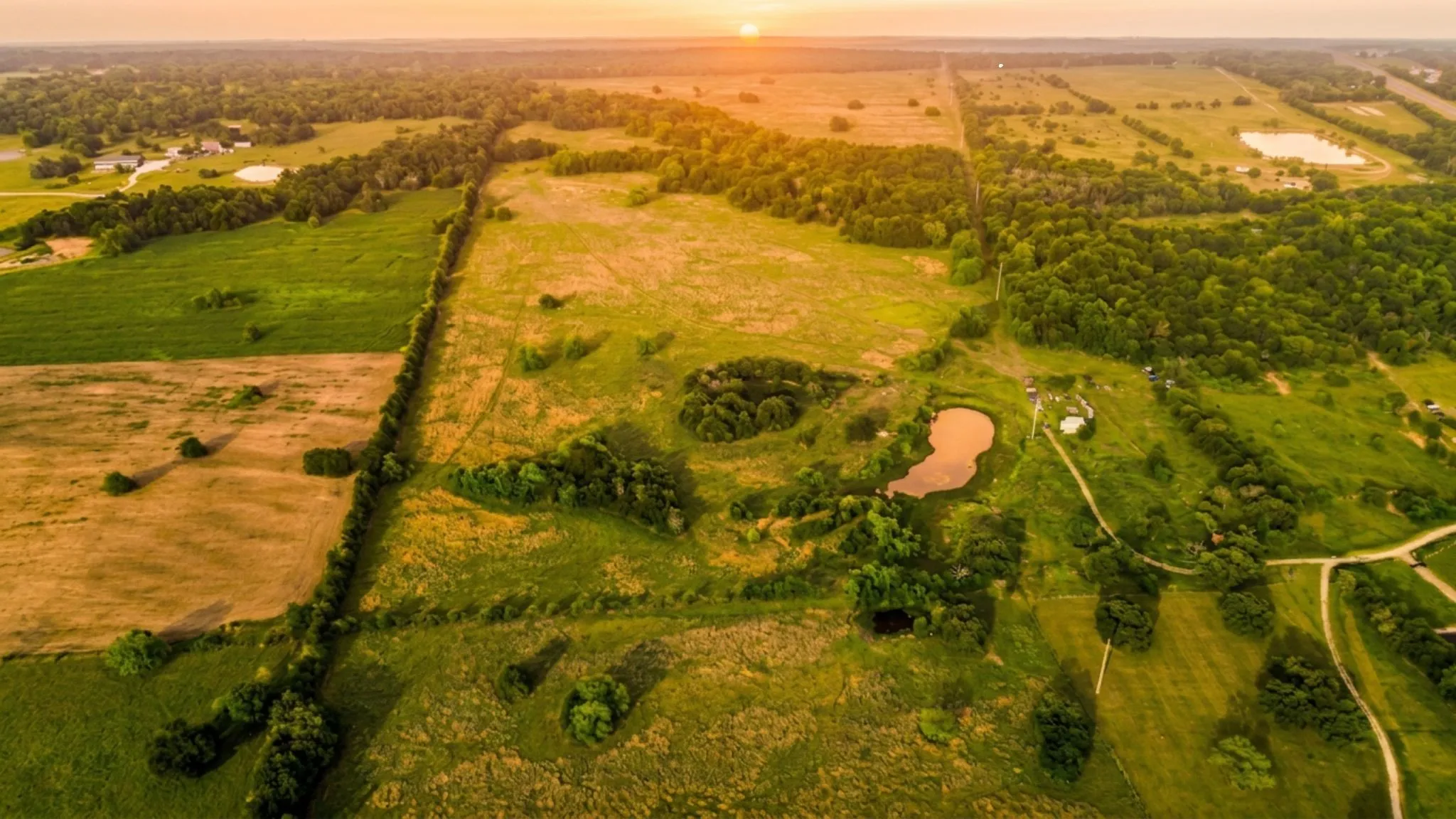 Ranch For Sale in Navarro County , 150 +- Acres Highway 31, Kerens, Texas 75144, 0, 0, Garage spaces, 0 Sqft, built in 0, mls#21253702, Real Estate Agent in Kerens, Homes For Sale in Navarro county, Homes For Sale in Kerens, Realtor in Kerens Texas, Real Estate Brokerage Independent Realty Texas, Luminita Cordes Realtor