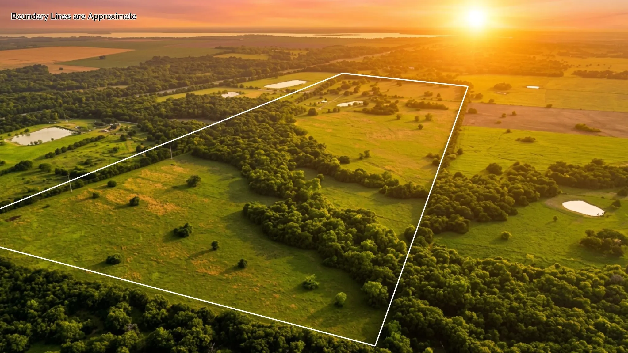 Ranch For Sale in Navarro County , 150 +- Acres Highway 31, Kerens, Texas 75144, 0, 0, Garage spaces, 0 Sqft, built in 0, mls#21253702, Real Estate Agent in Kerens, Homes For Sale in Navarro county, Homes For Sale in Kerens, Realtor in Kerens Texas, Real Estate Brokerage Independent Realty Texas, Luminita Cordes Realtor