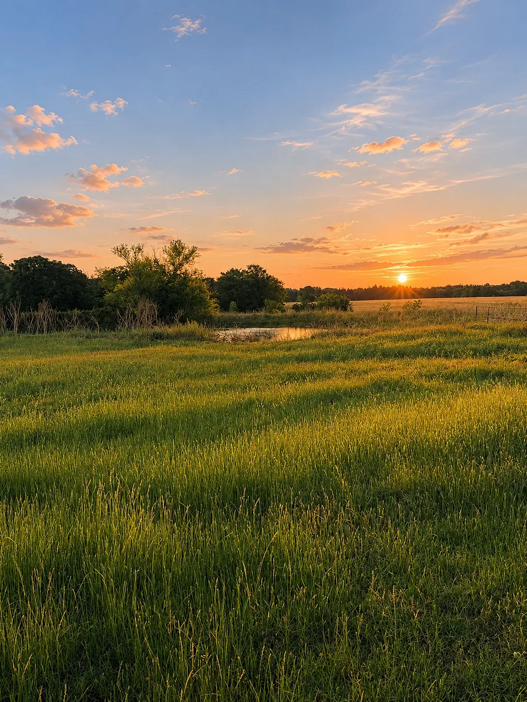 Ranch For Sale in Navarro County , 150 +- Acres Highway 31, Kerens, Texas 75144, 0, 0, Garage spaces, 0 Sqft, built in 0, mls#21253702, Real Estate Agent in Kerens, Homes For Sale in Navarro county, Homes For Sale in Kerens, Realtor in Kerens Texas, Real Estate Brokerage Independent Realty Texas, Luminita Cordes Realtor