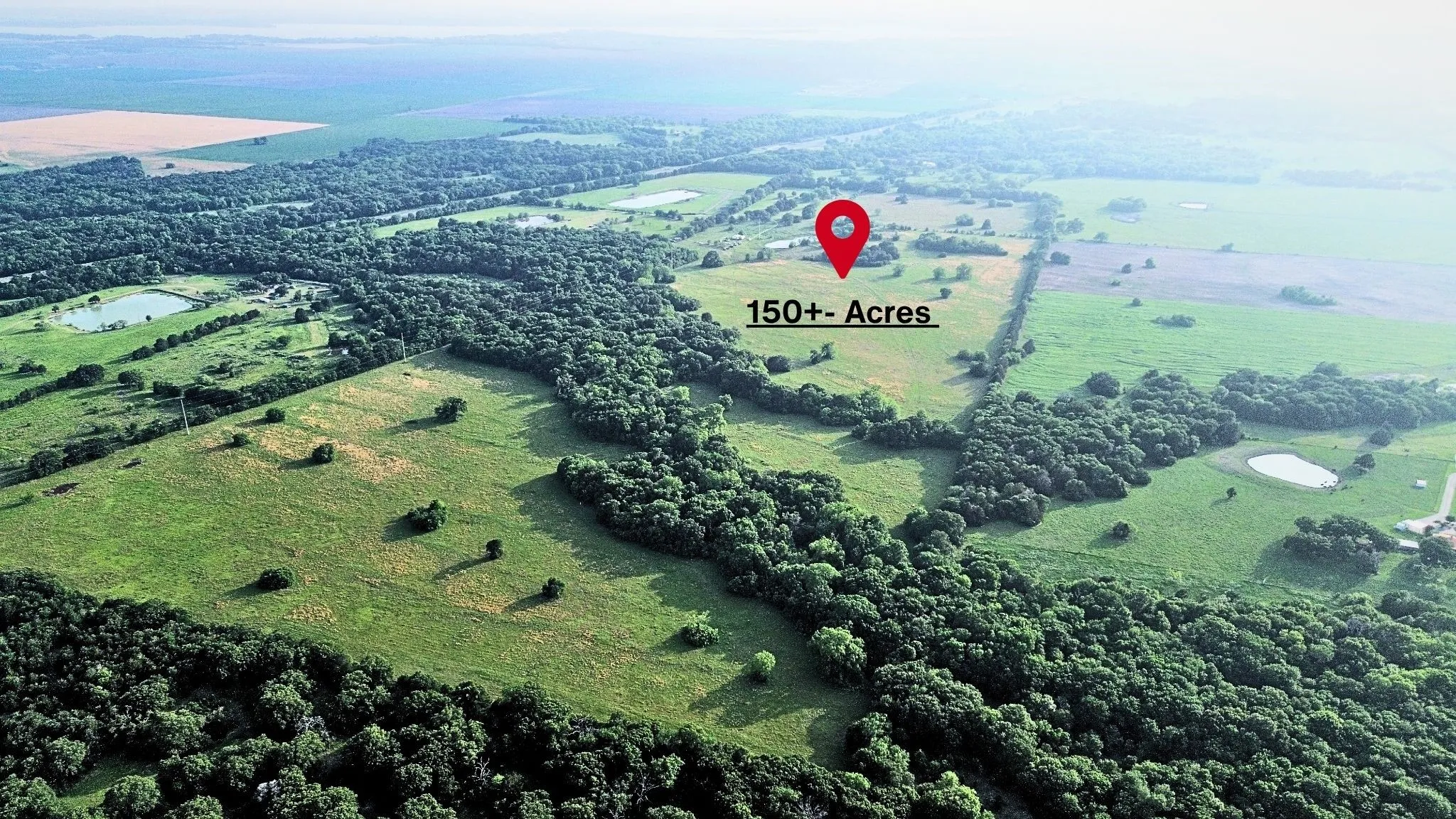 Ranch For Sale in Navarro County , 150 +- Acres Highway 31, Kerens, Texas 75144, 0, 0, Garage spaces, 0 Sqft, built in 0, mls#21253702, Real Estate Agent in Kerens, Homes For Sale in Navarro county, Homes For Sale in Kerens, Realtor in Kerens Texas, Real Estate Brokerage Independent Realty Texas, Luminita Cordes Realtor
