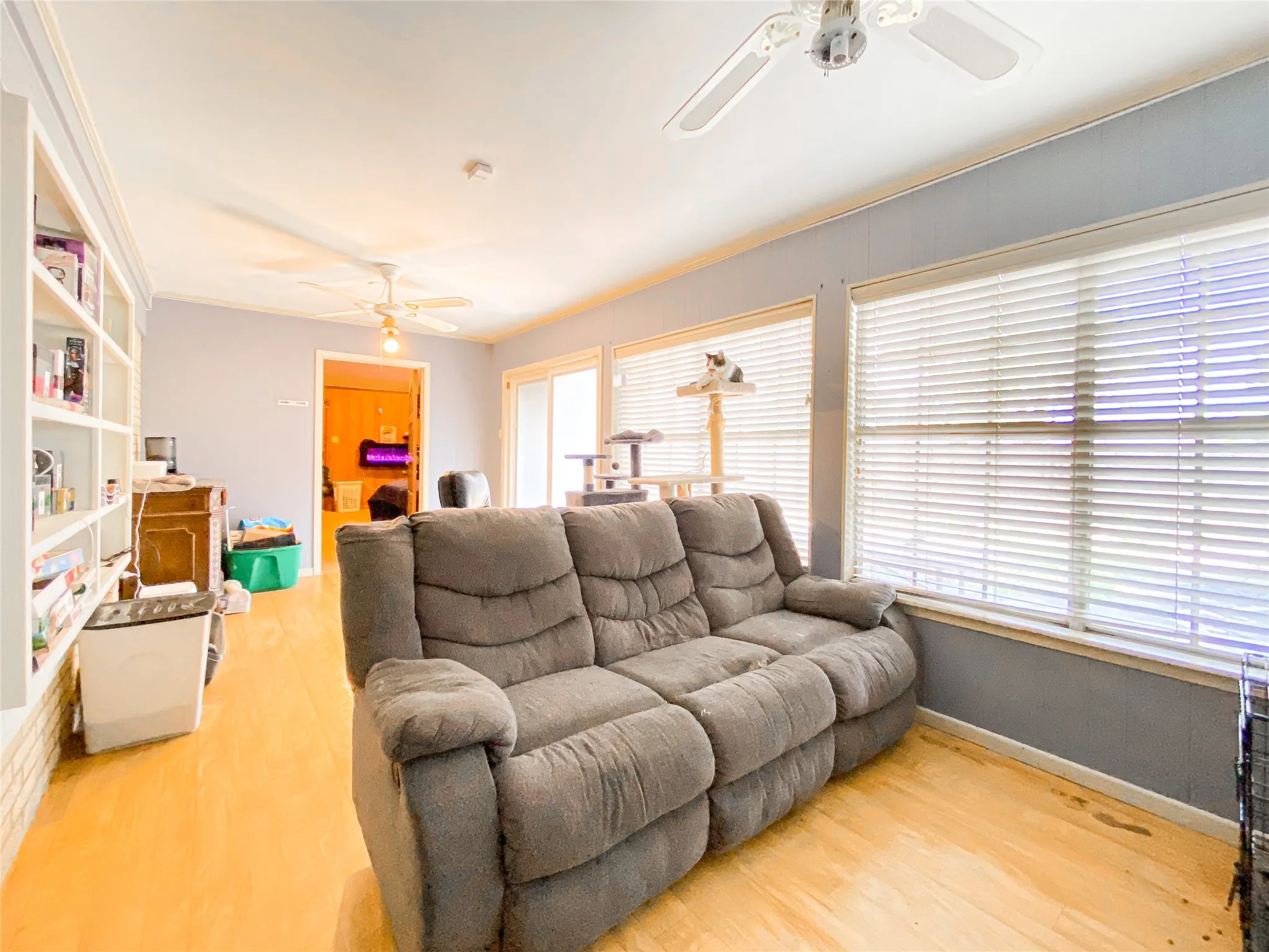 Living area featuring multiple windows, wood-finish flooring, two ceiling fans, and built-in shelving