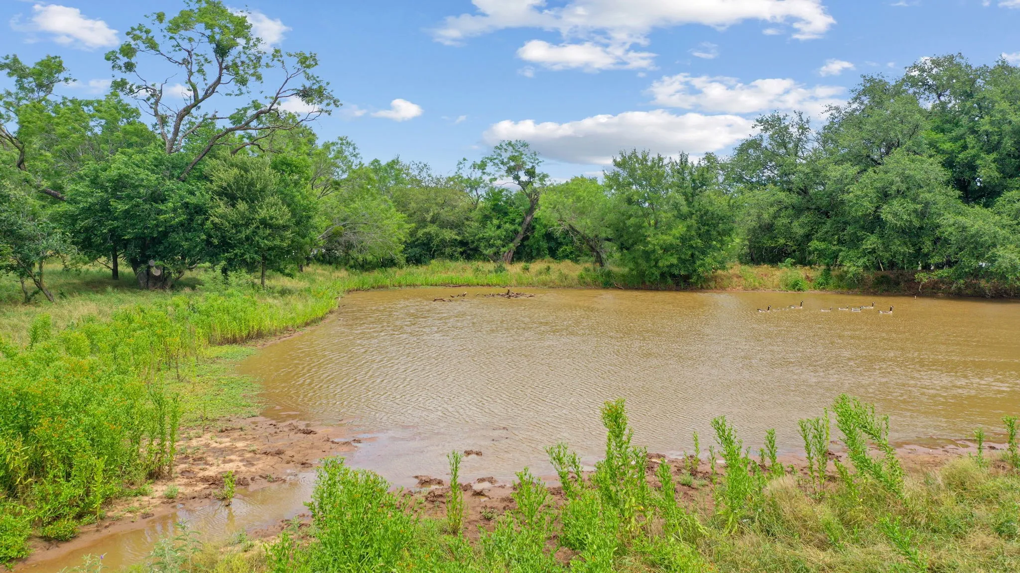 Unimproved Land For Sale in Parker County , TBD Goen Road, Millsap, Texas 76066, 0, 0, Garage spaces, 0 Sqft, built in 0, Price $1,855,675, mls#21254077, Real Estate Agent in Millsap, Homes For Sale in Parker county, Homes For Sale in Millsap, Realtor in Millsap Texas, Real Estate Brokerage Independent Realty Texas, Luminita Cordes Realtor