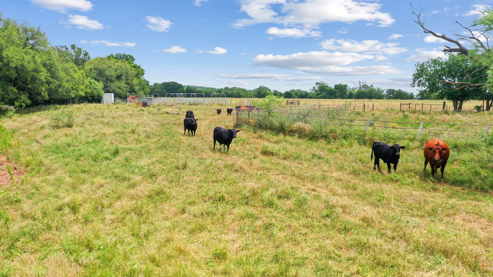 Unimproved Land For Sale in Parker County , TBD Goen Road, Millsap, Texas 76066, 0, 0, Garage spaces, 0 Sqft, built in 0, Price $1,855,675, mls#21254077, Real Estate Agent in Millsap, Homes For Sale in Parker county, Homes For Sale in Millsap, Realtor in Millsap Texas, Real Estate Brokerage Independent Realty Texas, Luminita Cordes Realtor