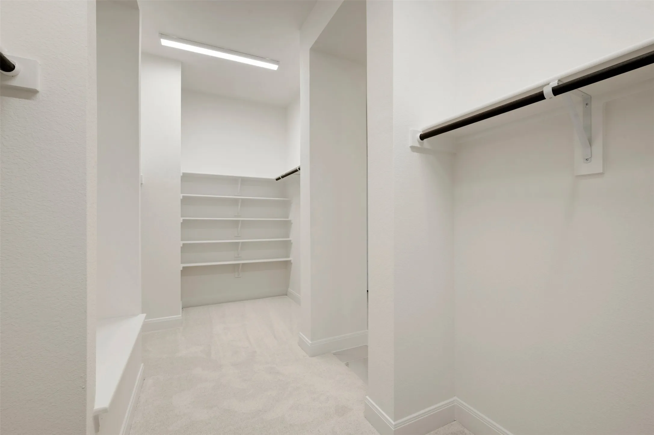 Expansive walk-in closet featuring extensive built-in shelving, multiple hanging rods, recessed lighting, and soft carpeting