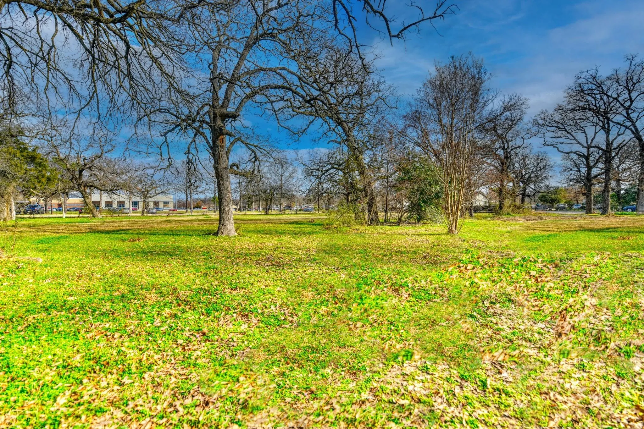 Unimproved Land For Sale in Dallas County , 2423 Picadilly Boulevard 159, Mesquite, Texas 75149, 0, 0, Garage spaces, 0 Sqft, built in 0, mls#21248377, Real Estate Agent in Mesquite, Homes For Sale in Dallas county, Homes For Sale in Mesquite, Realtor in Mesquite Texas, Real Estate Brokerage Independent Realty Texas, Luminita Cordes Realtor