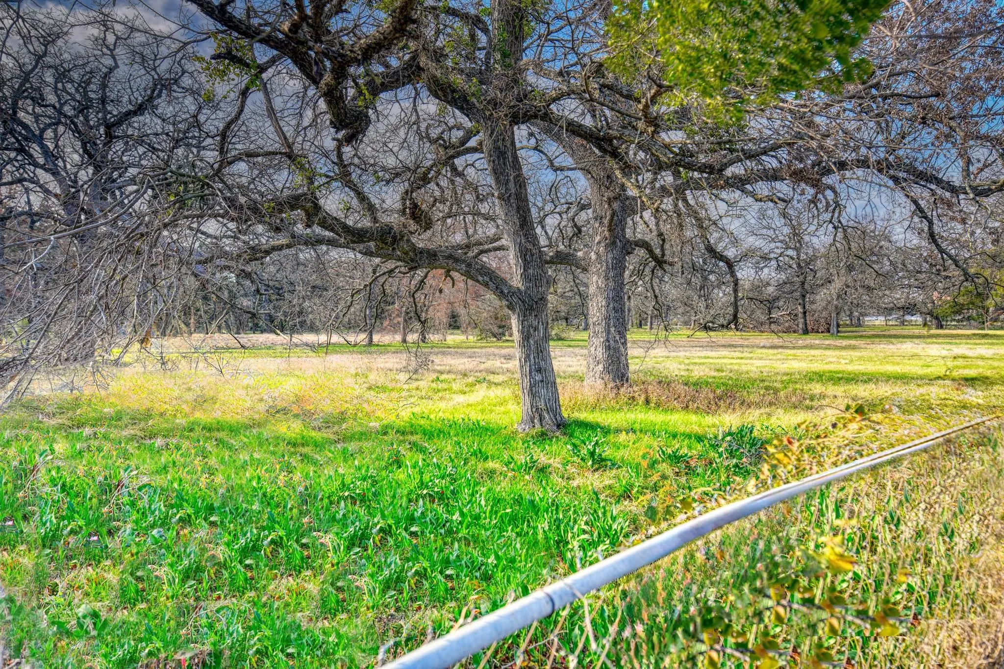Unimproved Land For Sale in Dallas County , 2423 Picadilly Boulevard 159, Mesquite, Texas 75149, 0, 0, Garage spaces, 0 Sqft, built in 0, mls#21248377, Real Estate Agent in Mesquite, Homes For Sale in Dallas county, Homes For Sale in Mesquite, Realtor in Mesquite Texas, Real Estate Brokerage Independent Realty Texas, Luminita Cordes Realtor