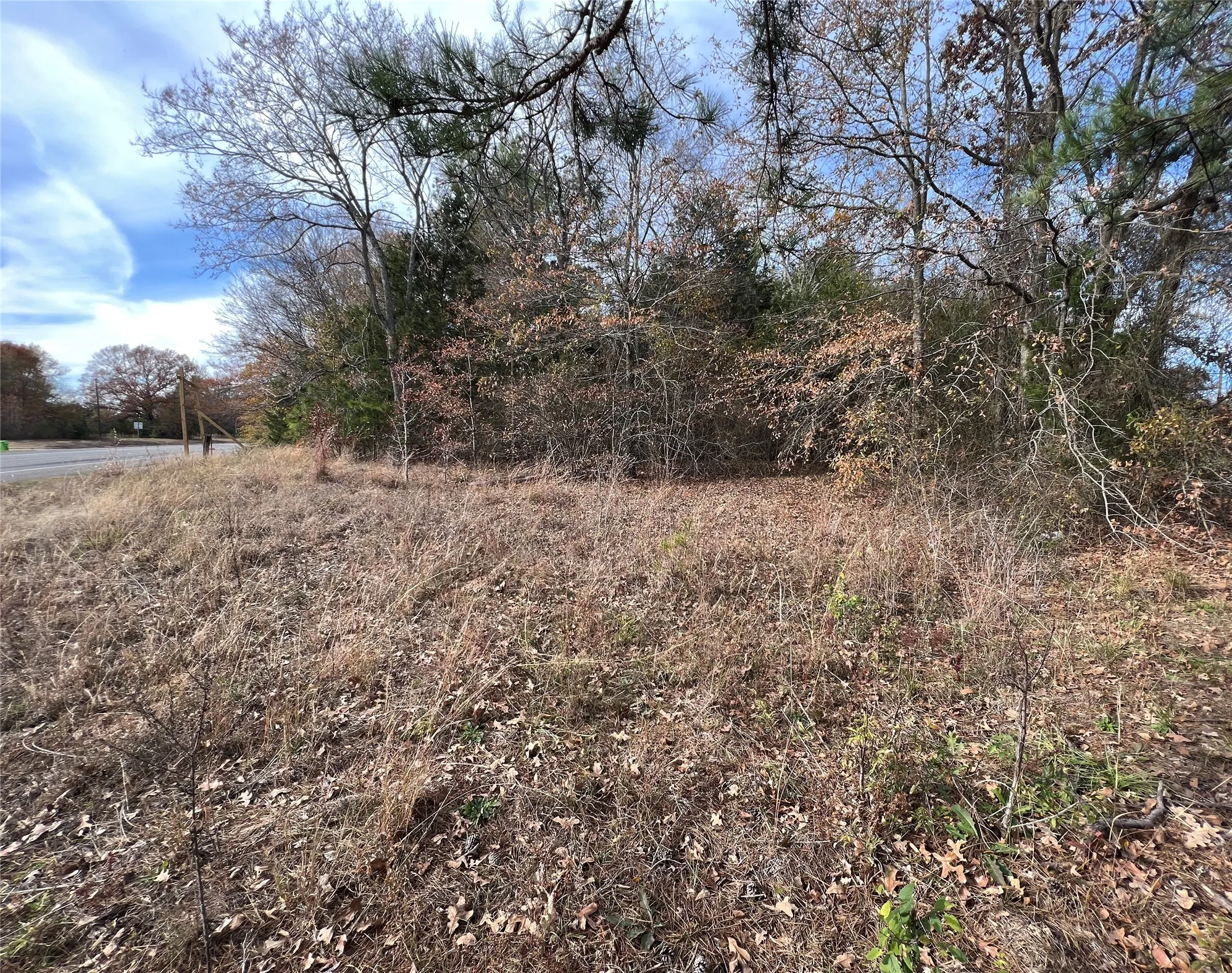Unimproved Land For Sale in Van Zandt County , TBD State HWY 64, Ben Wheeler, Texas 75754, 0, 0, Garage spaces, 0 Sqft, built in 0, mls#21254131, Real Estate Agent in Ben Wheeler, Homes For Sale in Van Zandt county, Homes For Sale in Ben Wheeler, Realtor in Ben Wheeler Texas, Real Estate Brokerage Independent Realty Texas, Luminita Cordes Realtor