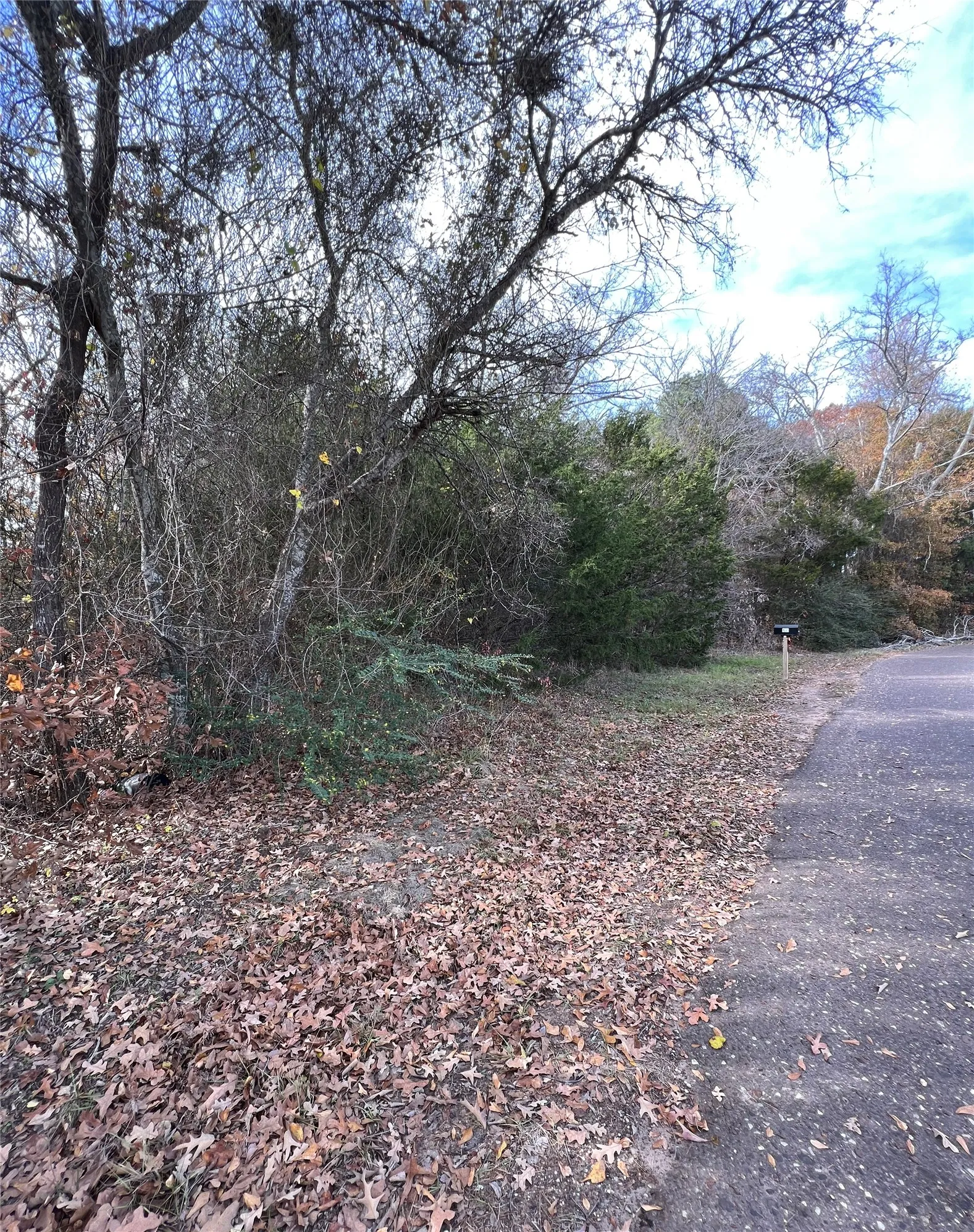 Unimproved Land For Sale in Van Zandt County , TBD State HWY 64, Ben Wheeler, Texas 75754, 0, 0, Garage spaces, 0 Sqft, built in 0, mls#21254131, Real Estate Agent in Ben Wheeler, Homes For Sale in Van Zandt county, Homes For Sale in Ben Wheeler, Realtor in Ben Wheeler Texas, Real Estate Brokerage Independent Realty Texas, Luminita Cordes Realtor