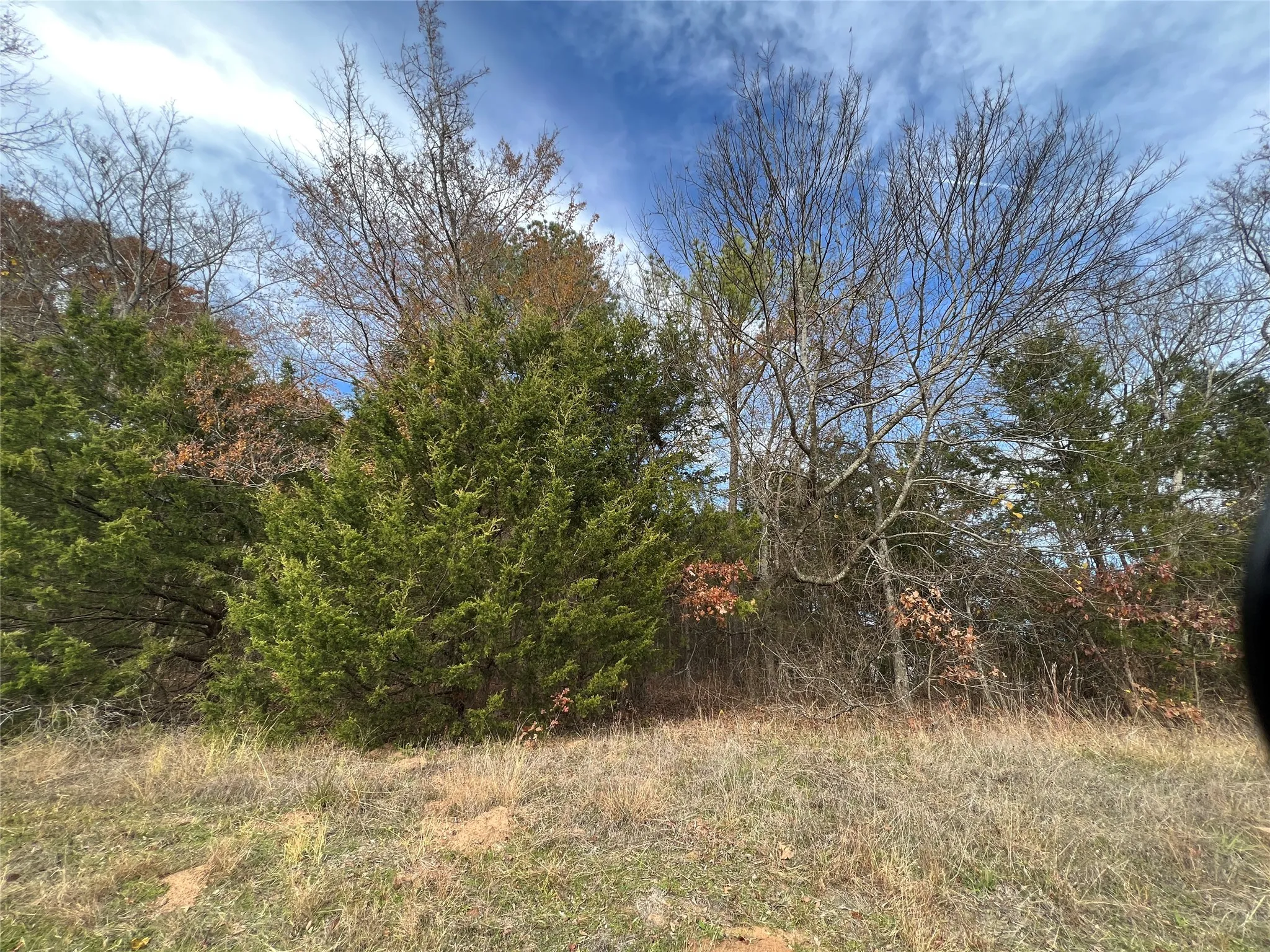 Unimproved Land For Sale in Van Zandt County , TBD State HWY 64, Ben Wheeler, Texas 75754, 0, 0, Garage spaces, 0 Sqft, built in 0, mls#21254131, Real Estate Agent in Ben Wheeler, Homes For Sale in Van Zandt county, Homes For Sale in Ben Wheeler, Realtor in Ben Wheeler Texas, Real Estate Brokerage Independent Realty Texas, Luminita Cordes Realtor