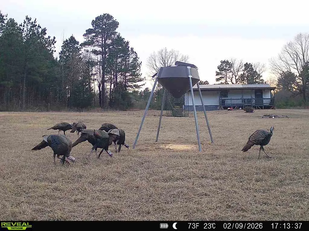 Improved Land For Sale in Red River (TX) County , 11750 FM 1159, Clarksville, Texas 75426, 0, 0, Garage spaces, 0 Sqft, built in 2022, mls#21252195, Real Estate Agent in Clarksville, Homes For Sale in Red River (TX) county, Homes For Sale in Clarksville, Realtor in Clarksville Texas, Real Estate Brokerage Independent Realty Texas, Luminita Cordes Realtor