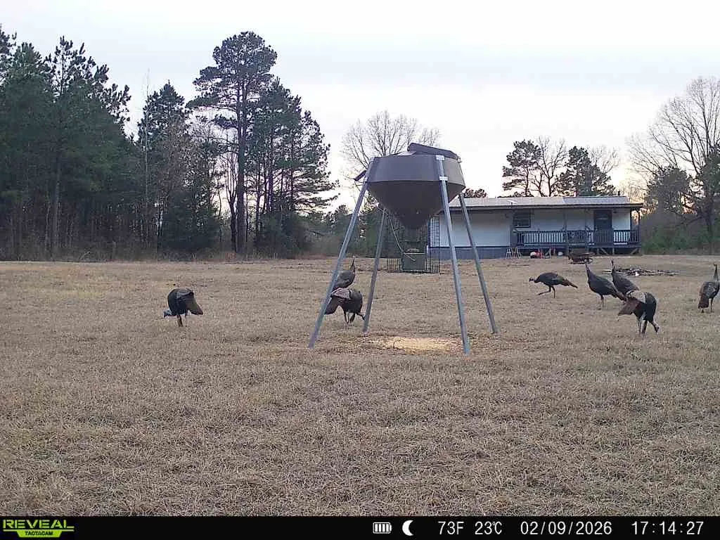 Improved Land For Sale in Red River (TX) County , 11750 FM 1159, Clarksville, Texas 75426, 0, 0, Garage spaces, 0 Sqft, built in 2022, mls#21252195, Real Estate Agent in Clarksville, Homes For Sale in Red River (TX) county, Homes For Sale in Clarksville, Realtor in Clarksville Texas, Real Estate Brokerage Independent Realty Texas, Luminita Cordes Realtor
