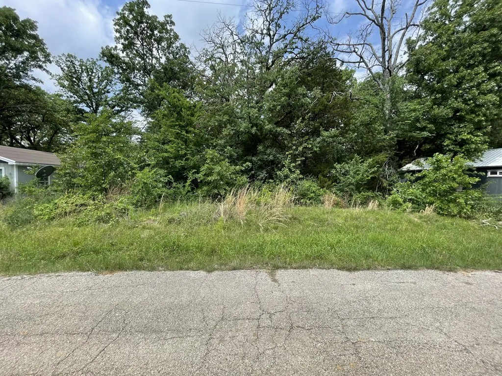 Improved Land For Sale in Henderson County , Lot 510 MUSTANG Drive, Mabank, Texas 75156, 0, 0, Garage spaces, 0 Sqft, built in 0, Price $9,900, mls#21254310, Real Estate Agent in Mabank, Homes For Sale in Henderson county, Homes For Sale in Mabank, Realtor in Mabank Texas, Real Estate Brokerage Independent Realty Texas, Luminita Cordes Realtor