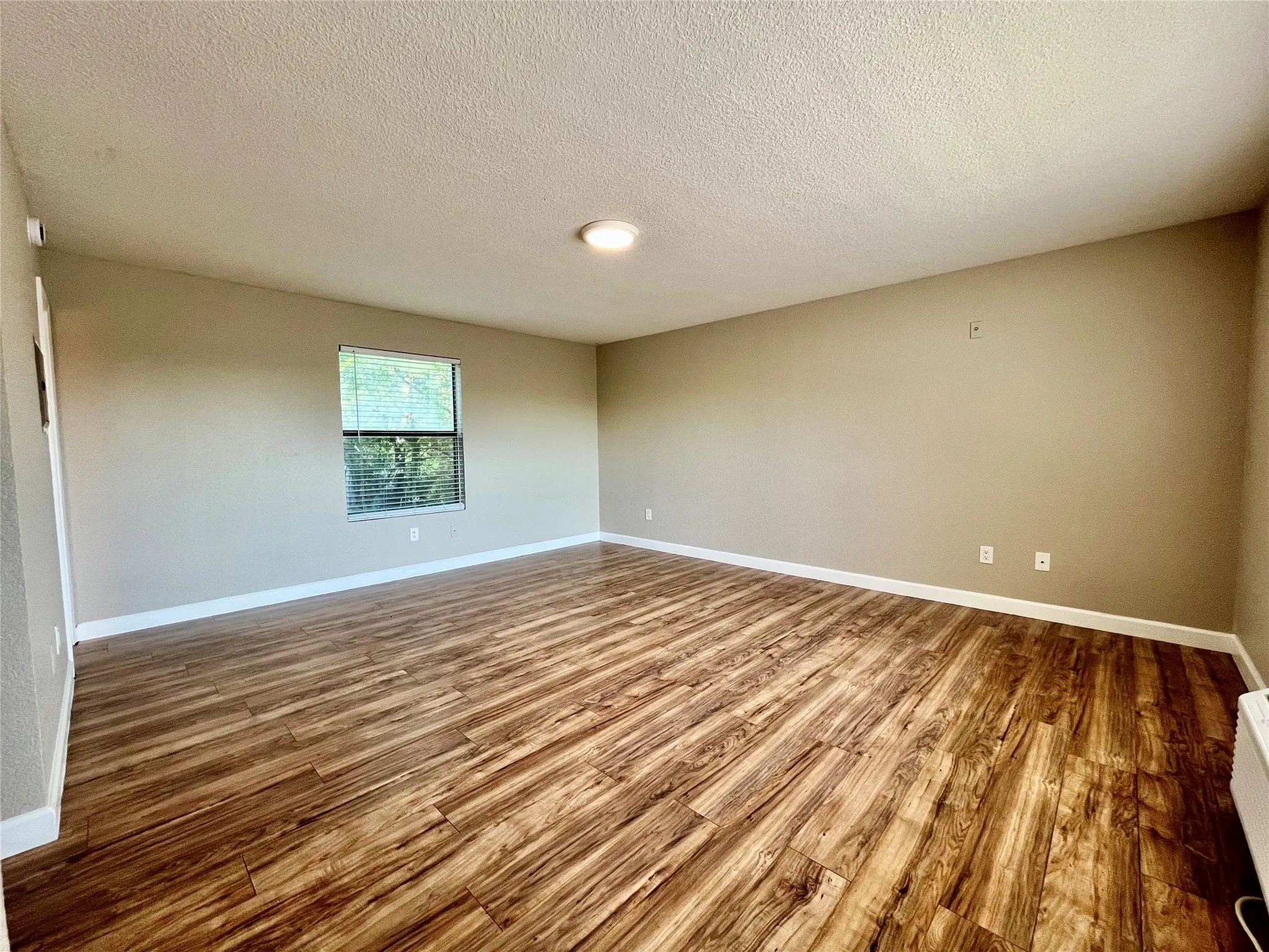 Spacious secondary view of the living space, highlighting the open floor plan and versatile layout.