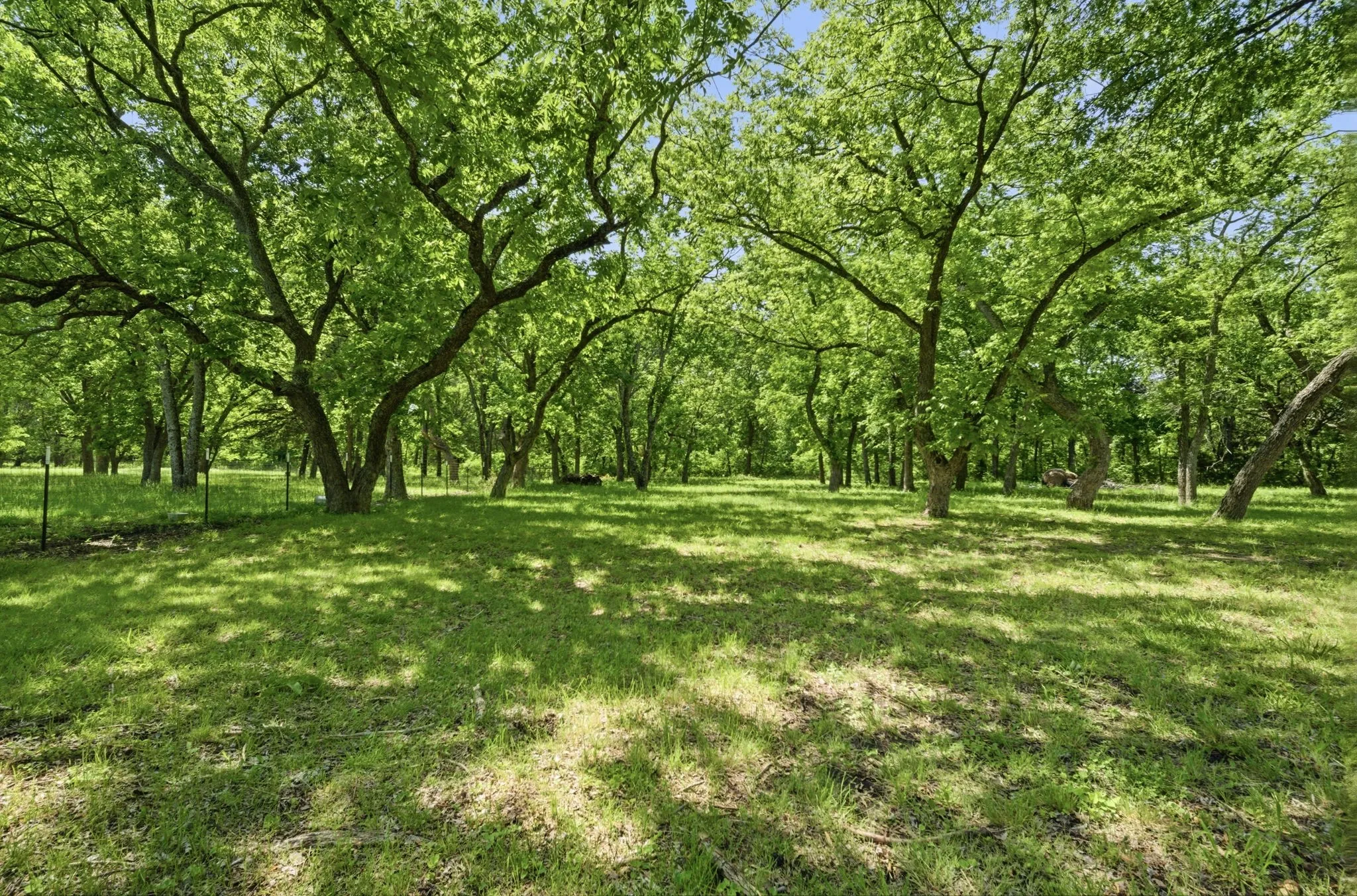 Single Family Residence For Sale in Grayson County , 1499 Harrell Road, Howe, Texas 75459, 3 Bedrooms, 2 Bathrooms, Garage spaces, 2,161 Sqft, built in 1985, Price $1,250,000, mls#21245342, Real Estate Agent in Howe, Homes For Sale in Grayson county, Homes For Sale in Howe, Realtor in Howe Texas, Real Estate Brokerage Independent Realty Texas, Luminita Cordes Realtor