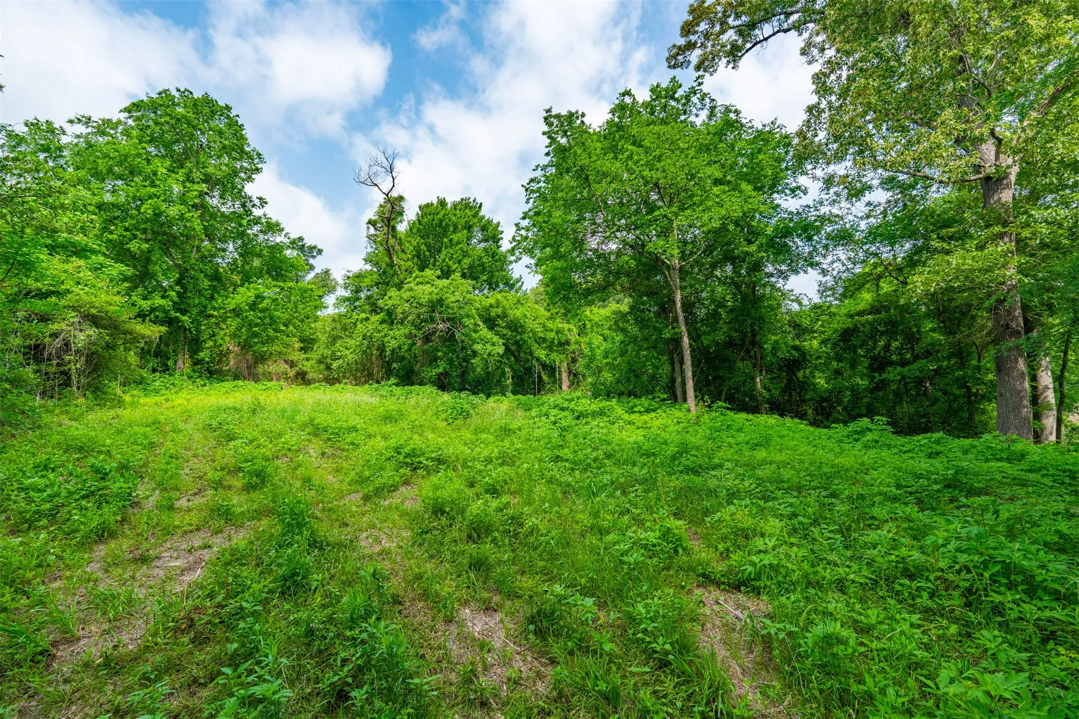 Unimproved Land For Sale in Henderson County , 855 N Prairieville Street, Athens, Texas 75751, 0, 0, Garage spaces, 0 Sqft, built in 0, mls#21254184, Real Estate Agent in Athens, Homes For Sale in Henderson county, Homes For Sale in Athens, Realtor in Athens Texas, Real Estate Brokerage Independent Realty Texas, Luminita Cordes Realtor
