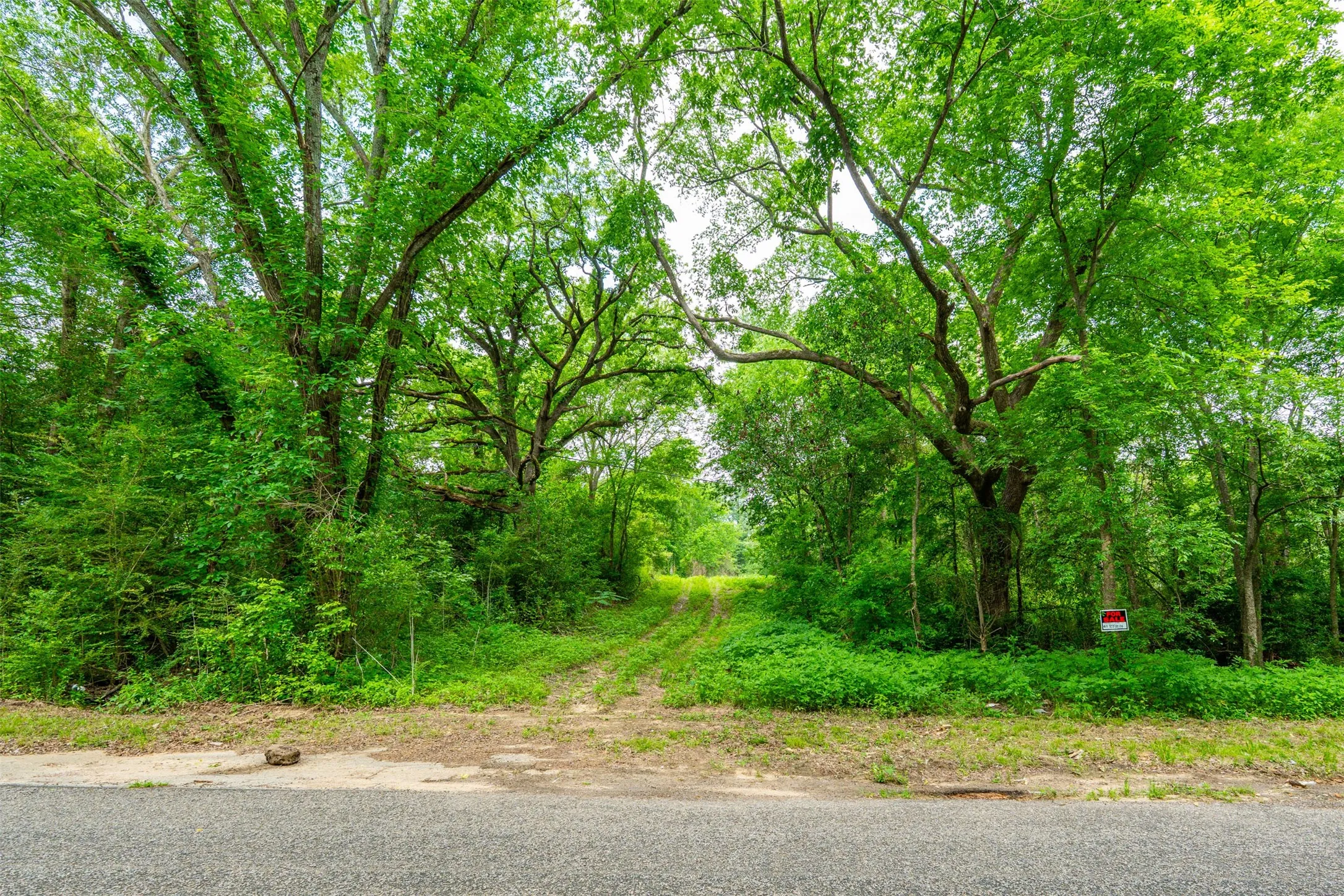 Unimproved Land For Sale in Henderson County , 855 N Prairieville Street, Athens, Texas 75751, 0, 0, Garage spaces, 0 Sqft, built in 0, mls#21254184, Real Estate Agent in Athens, Homes For Sale in Henderson county, Homes For Sale in Athens, Realtor in Athens Texas, Real Estate Brokerage Independent Realty Texas, Luminita Cordes Realtor