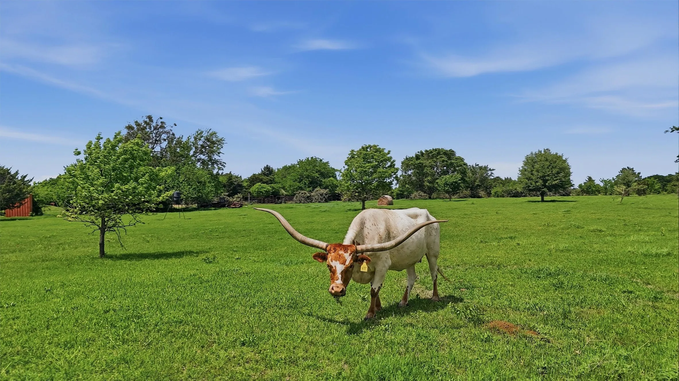 Single Family Residence For Sale in Grayson County , 2139 Keefer Road, Pottsboro, Texas 75076, 1 Bedroom, 1 Bathroom, Garage spaces, 1,500 Sqft, built in 2007, Preowned, mls#21251880, Real Estate Agent in Pottsboro, Homes For Sale in Grayson county, Homes For Sale in Pottsboro, Realtor in Pottsboro Texas, Real Estate Brokerage Independent Realty Texas, Luminita Cordes Realtor