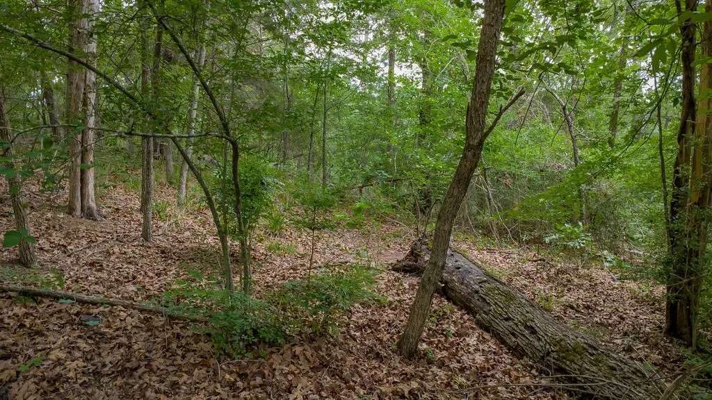 Unimproved Land For Sale in Smith County , 1714 Pineview Lane, Hideaway, Texas 75771, 0, 0, Garage spaces, 0 Sqft, built in 0, Price $29,000, mls#21254435, Real Estate Agent in Hideaway, Homes For Sale in Smith county, Homes For Sale in Hideaway, Realtor in Hideaway Texas, Real Estate Brokerage Independent Realty Texas, Luminita Cordes Realtor