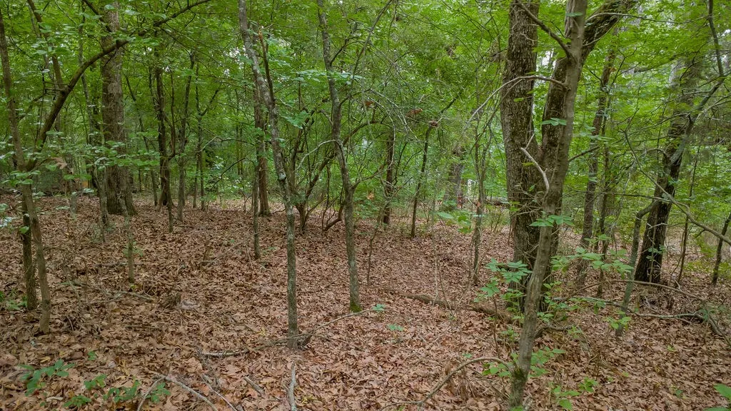Unimproved Land For Sale in Smith County , 1714 Pineview Lane, Hideaway, Texas 75771, 0, 0, Garage spaces, 0 Sqft, built in 0, Price $29,000, mls#21254435, Real Estate Agent in Hideaway, Homes For Sale in Smith county, Homes For Sale in Hideaway, Realtor in Hideaway Texas, Real Estate Brokerage Independent Realty Texas, Luminita Cordes Realtor