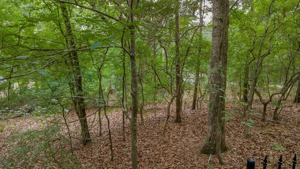 Unimproved Land For Sale in Smith County , 1714 Pineview Lane, Hideaway, Texas 75771, 0, 0, Garage spaces, 0 Sqft, built in 0, Price $29,000, mls#21254435, Real Estate Agent in Hideaway, Homes For Sale in Smith county, Homes For Sale in Hideaway, Realtor in Hideaway Texas, Real Estate Brokerage Independent Realty Texas, Luminita Cordes Realtor